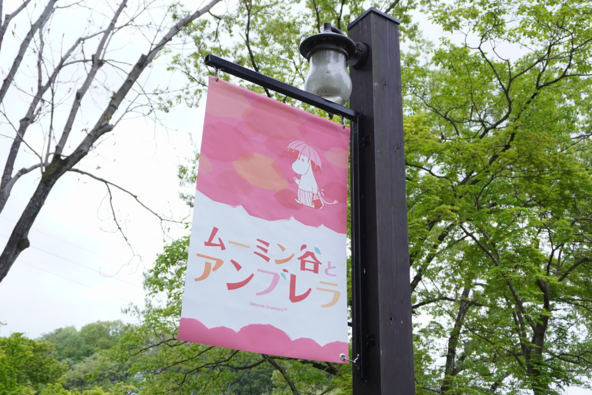 今年は開園5周年とアンブレラスカイ限定デコレーションを同時に楽しめる！