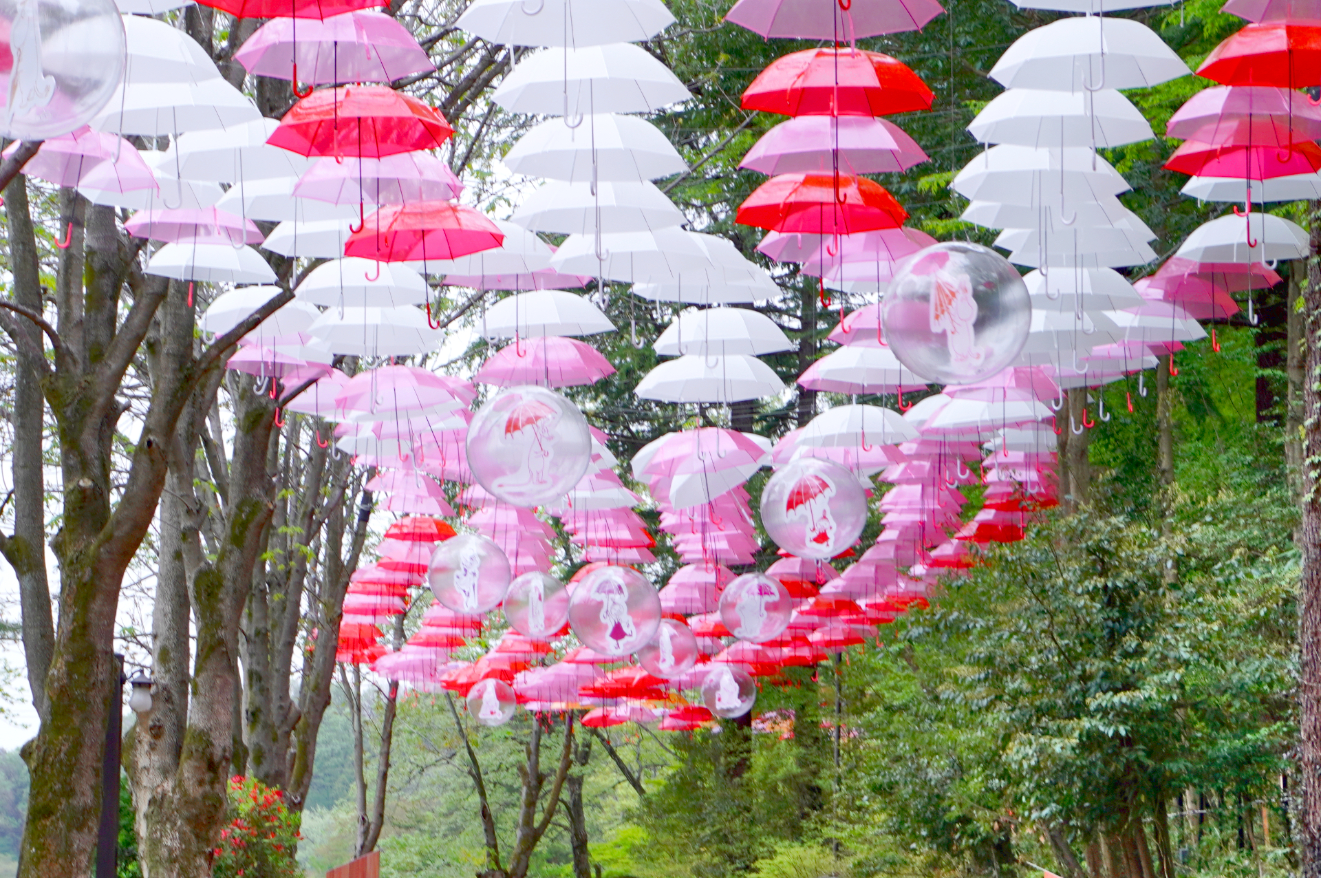 約200mにわたってフォトジェニックな傘のトンネルが続く