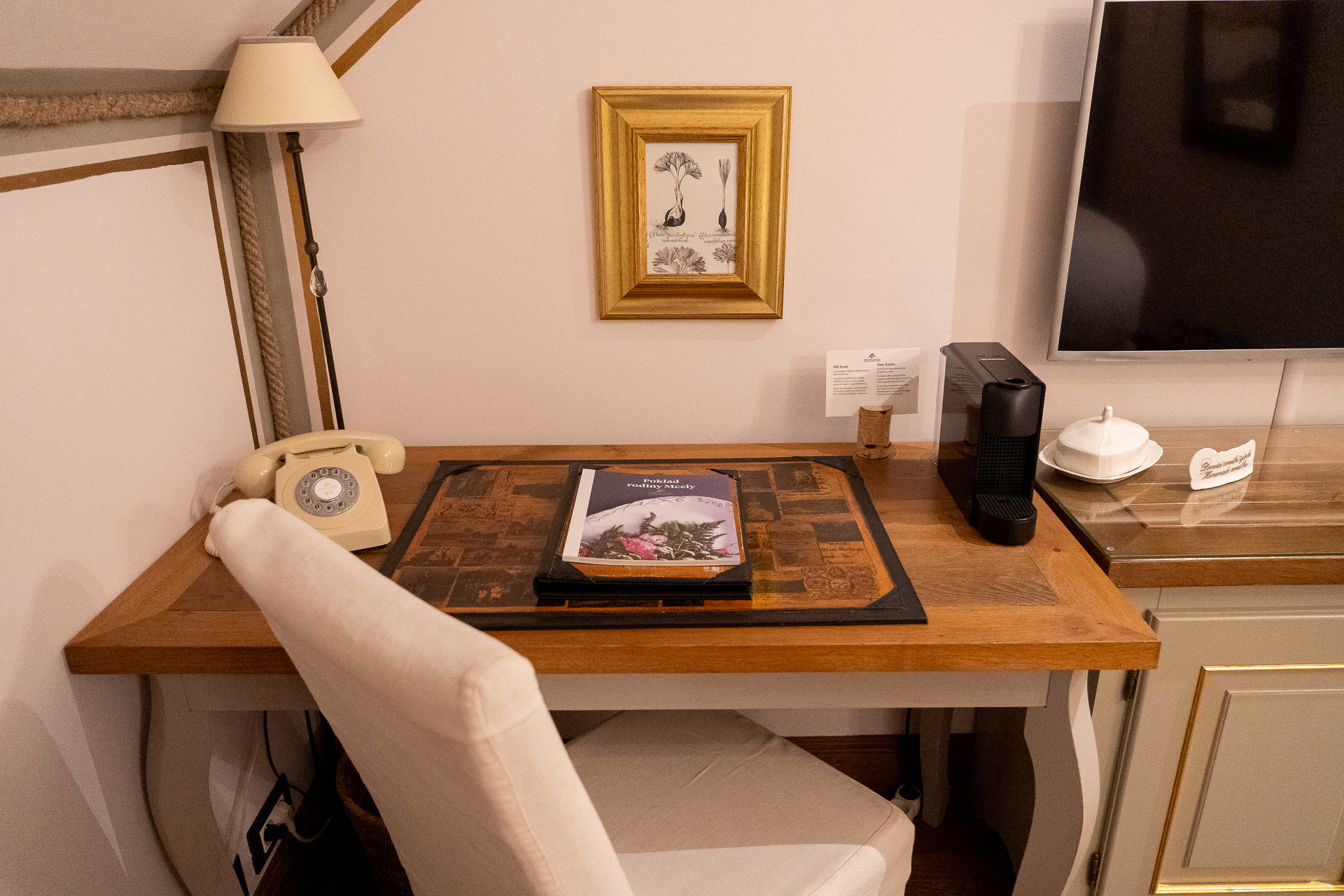 ドーマー窓からはエントランス側の庭が見えました