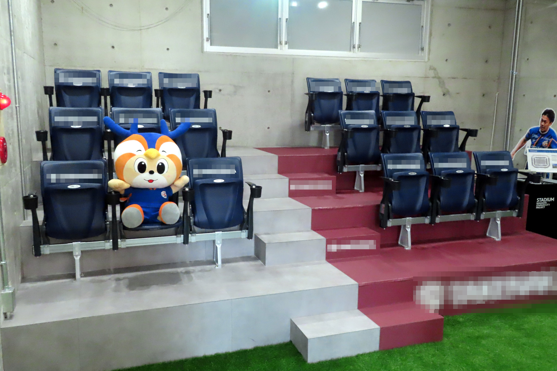 一般のシートでも快適に観戦できる