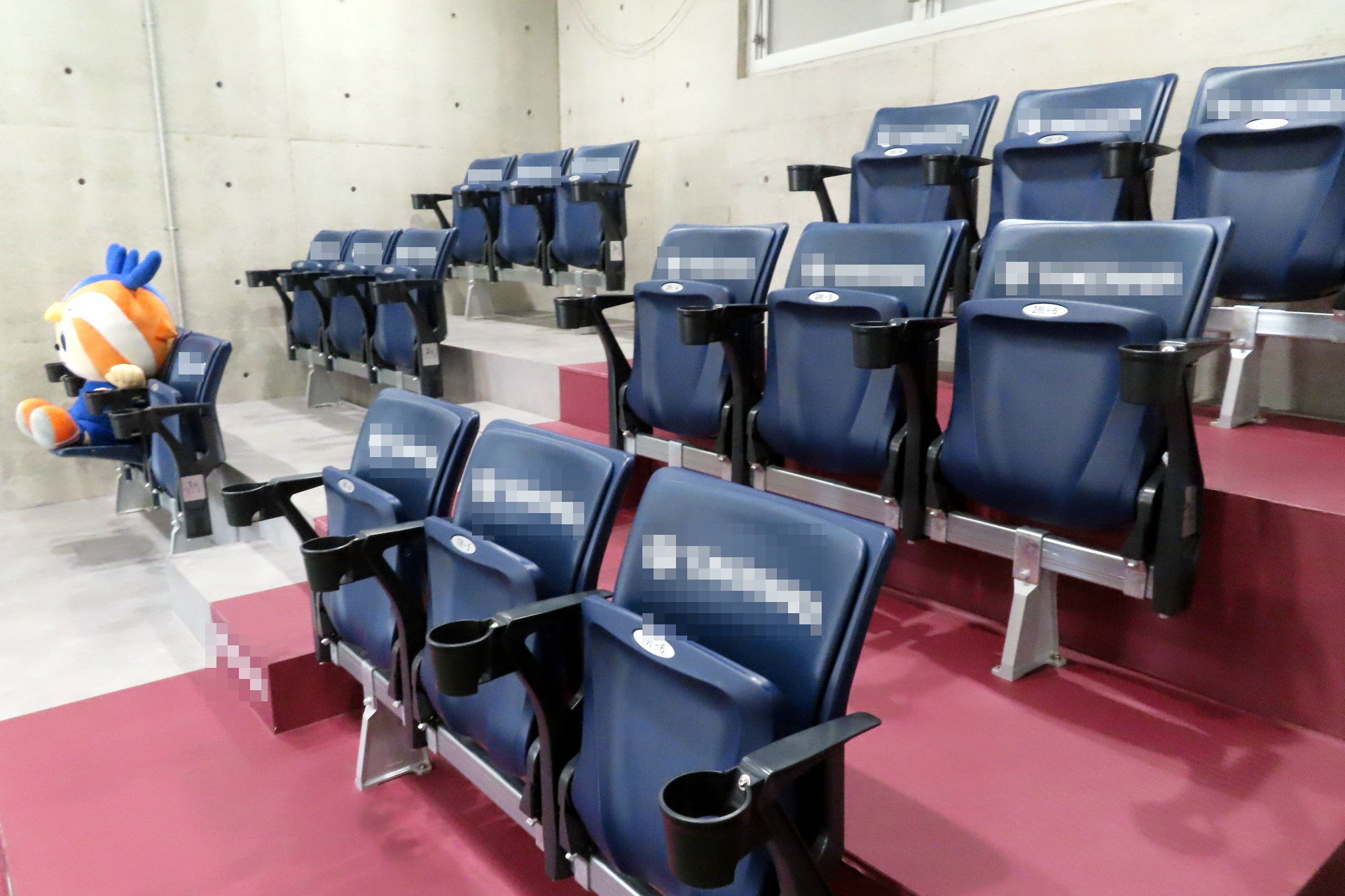 一般のシートでも快適に観戦できる