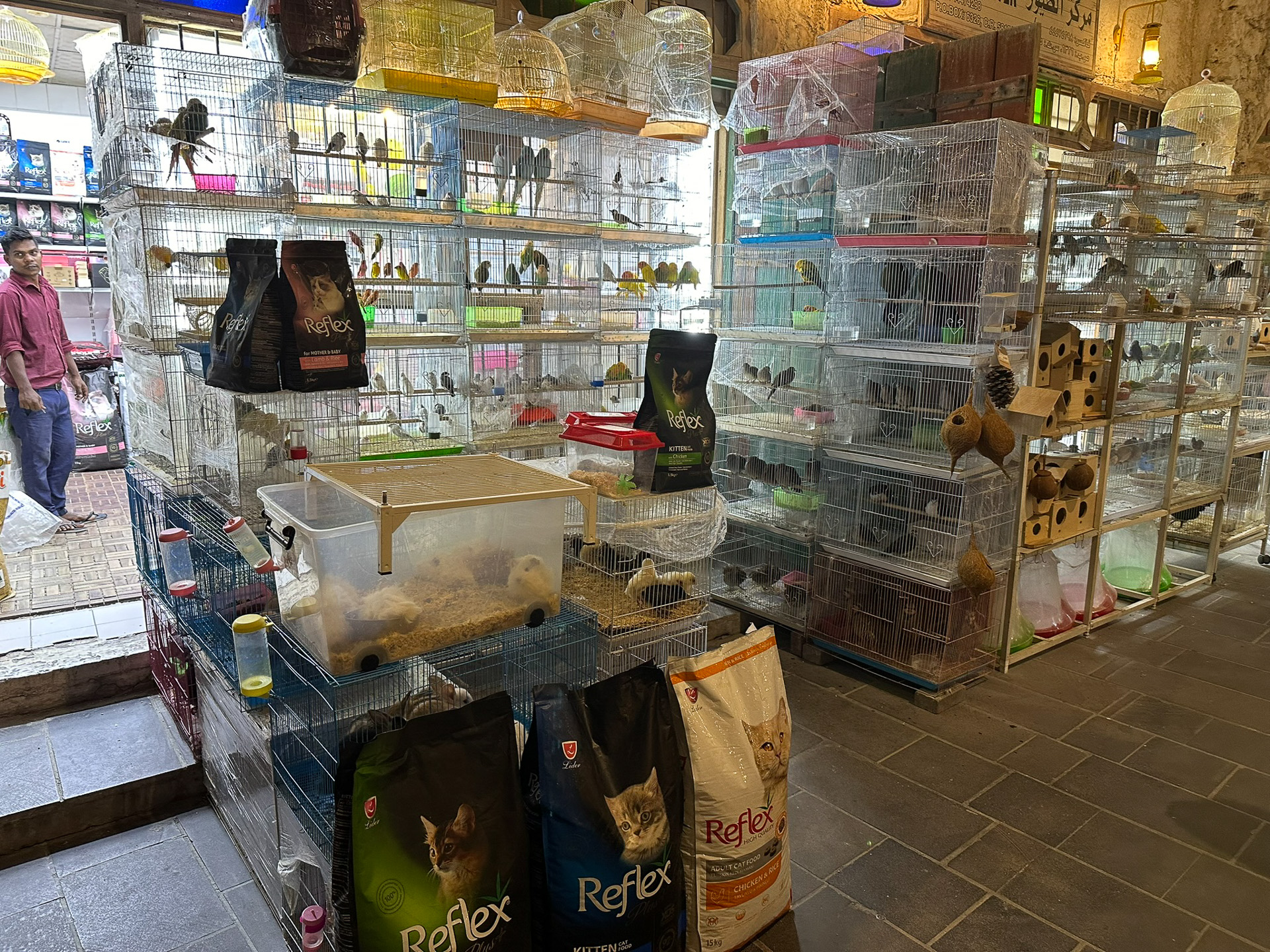 スークには鳥類ほかペットを扱う一角がある