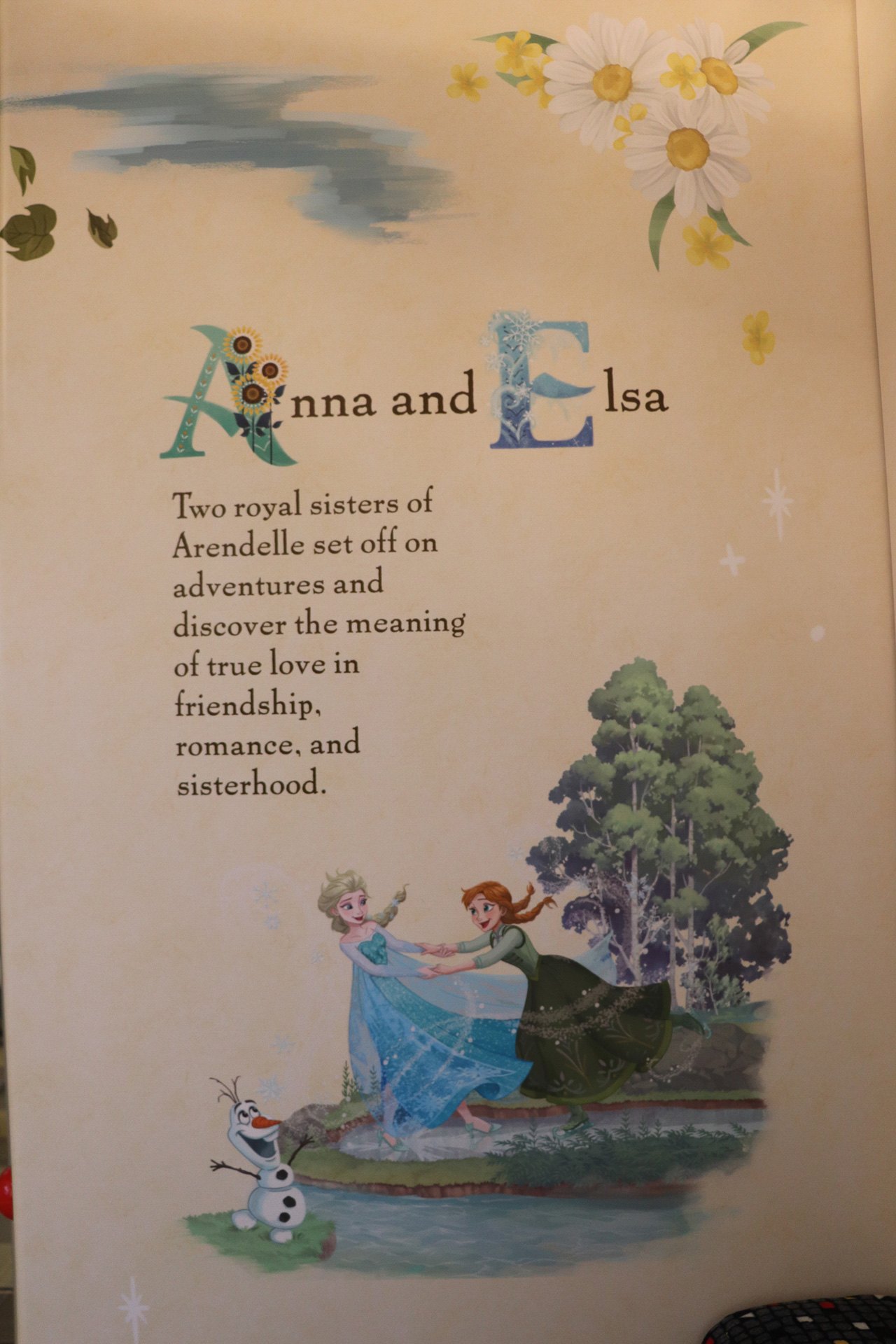 ブルーの車両にはアナとエルサ、シンデレラやバンビのキャラクターが描かれている