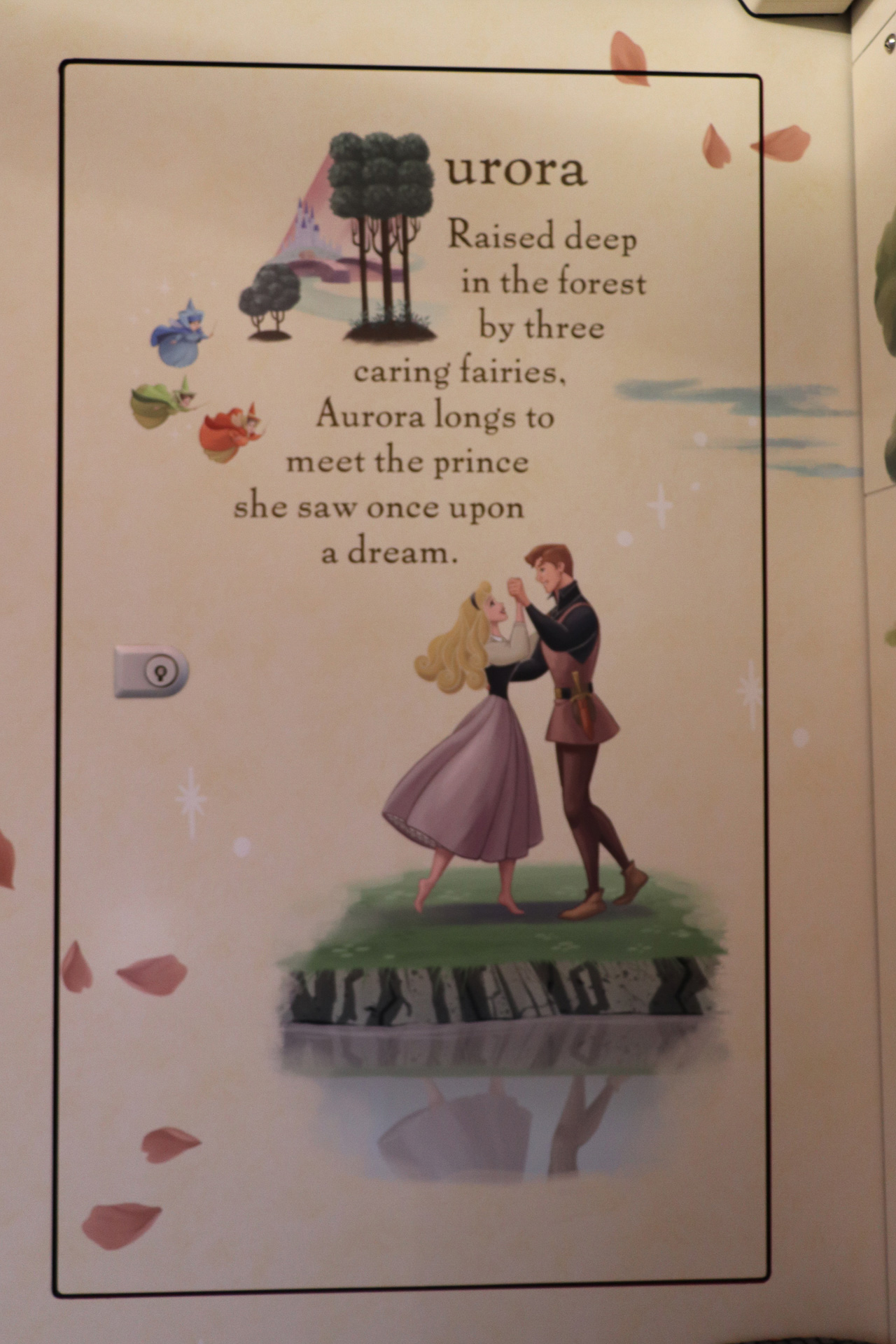 ピンクの車両にはラプンツェルやオーロラ姫、ミッキーマウスを描いている