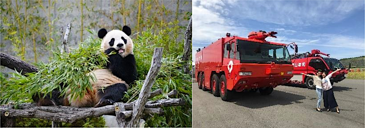 アドベンチャーワールド（左）、南紀白浜空港バックヤードツアー（右）