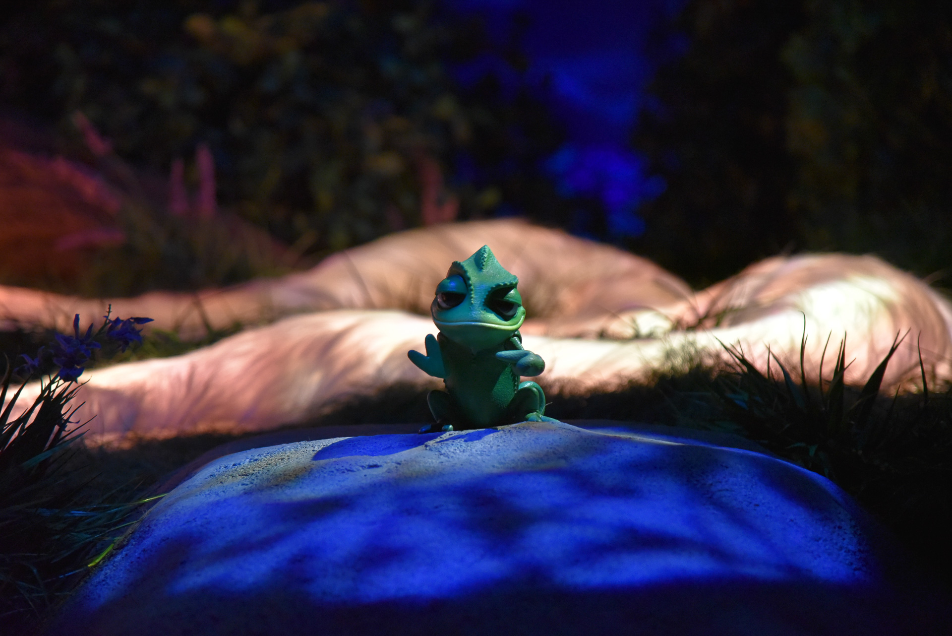 パスカルもいますよ