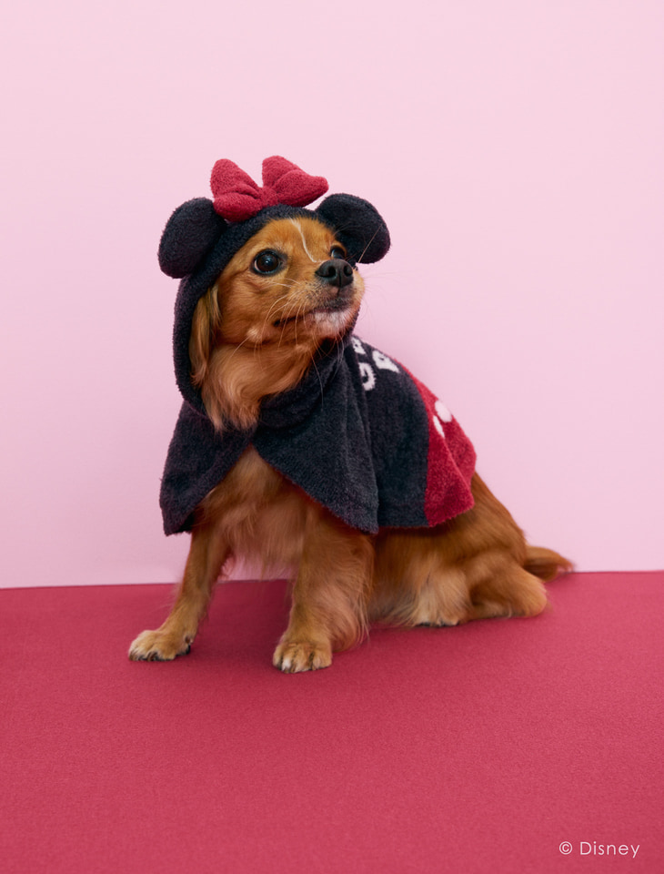 ジェラートピケMinnie/プリントワンピース　ミニー　ピンク gelato pique（ジェラートピケ）の「【販路限定商品】 Minnie