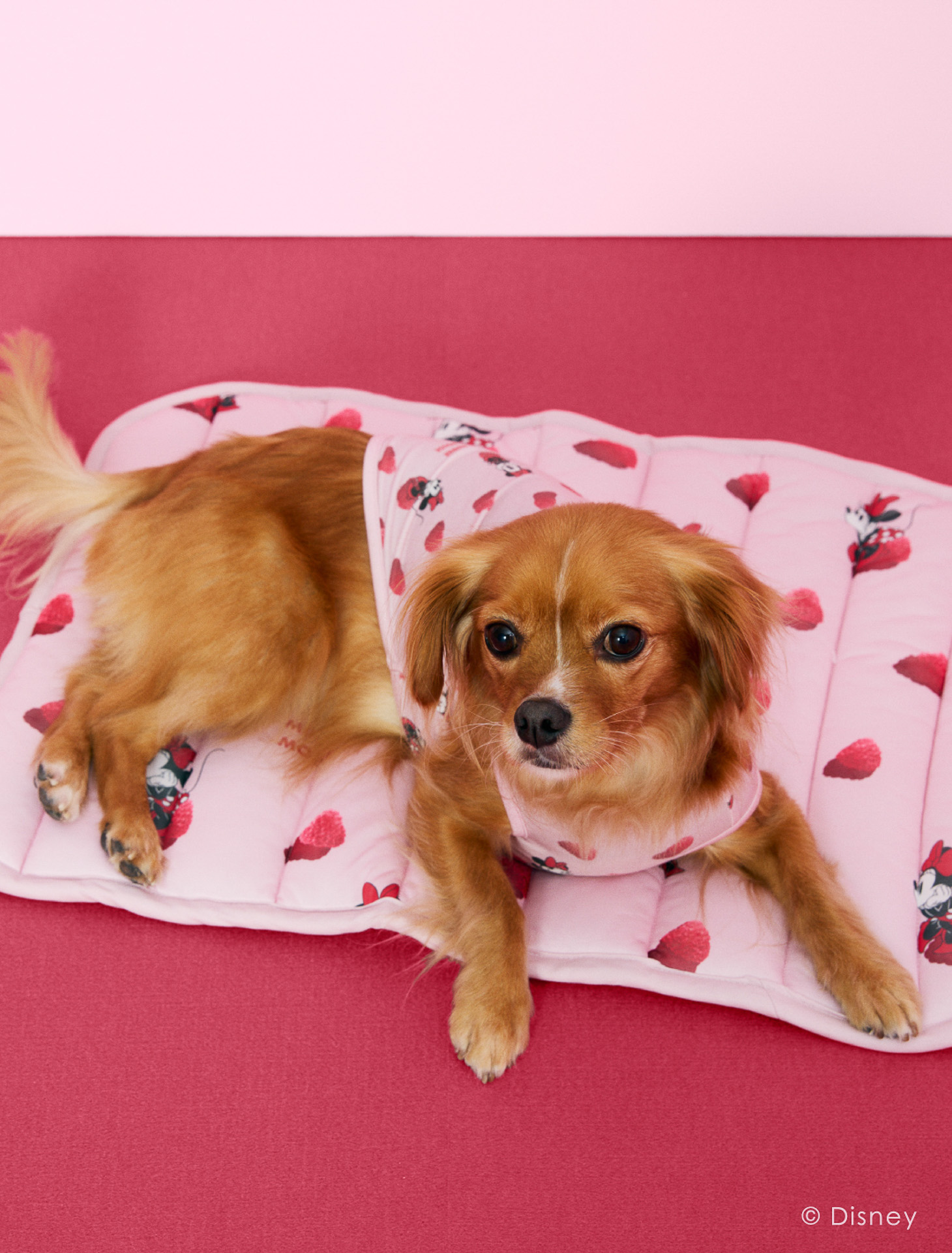 「Minnie/COOLプルオーバー」（4290円）