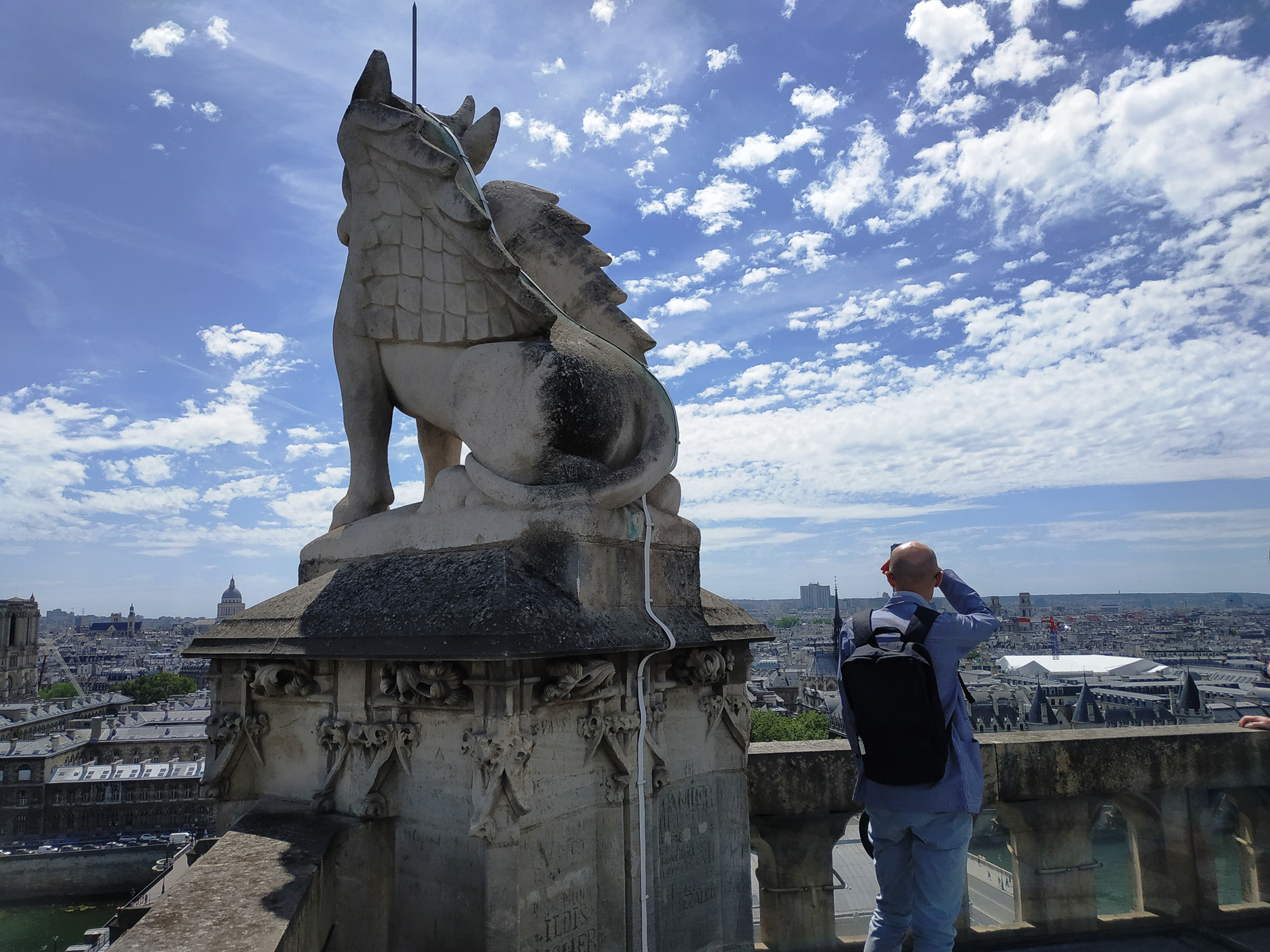 塔の上には、聖書の福音史家のシンボル（ライオン、牛、鷲、人）のほか、ガーゴイルたちがパリの街を見守るように置かれています。塔の上からはパリの観光名所を一望できます