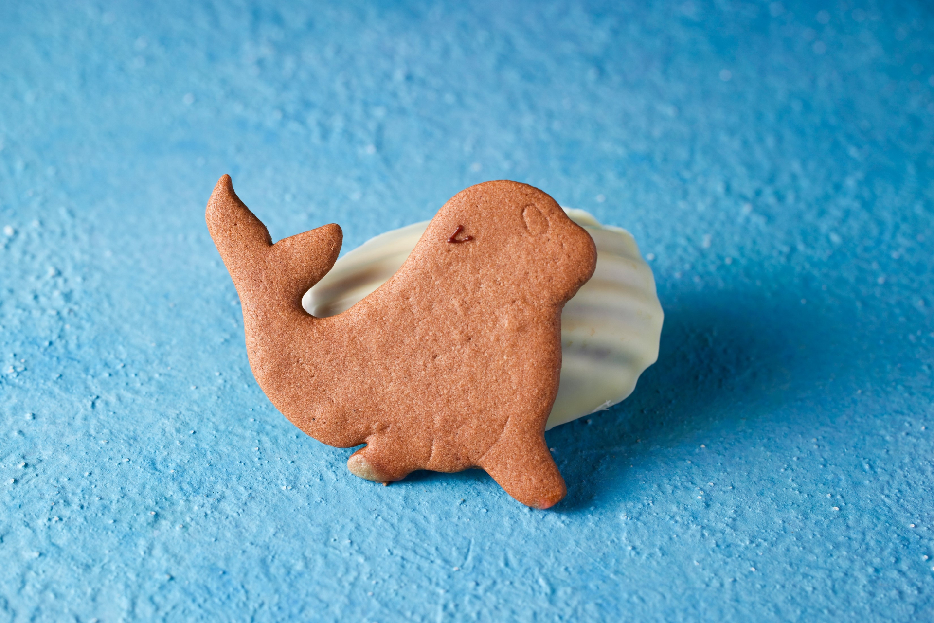 オットセイクッキーとレモン風味のマドレーヌ