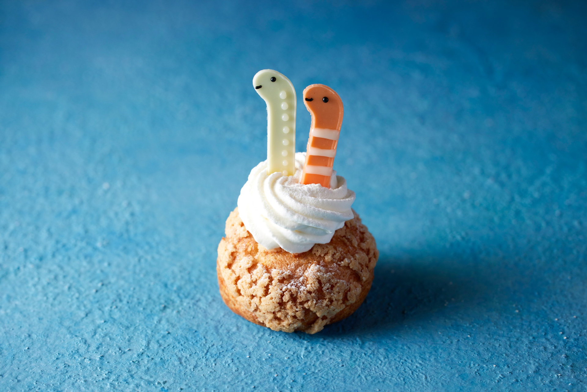 ニシキアナゴとホワイトスポッテッドガーデンイールシュー