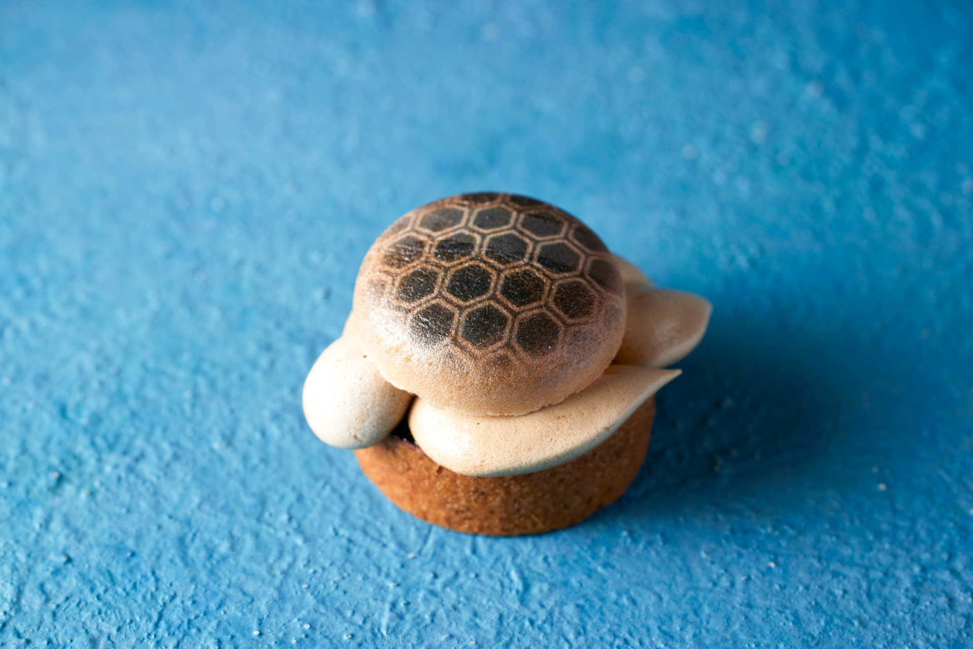 ウミガメタルト