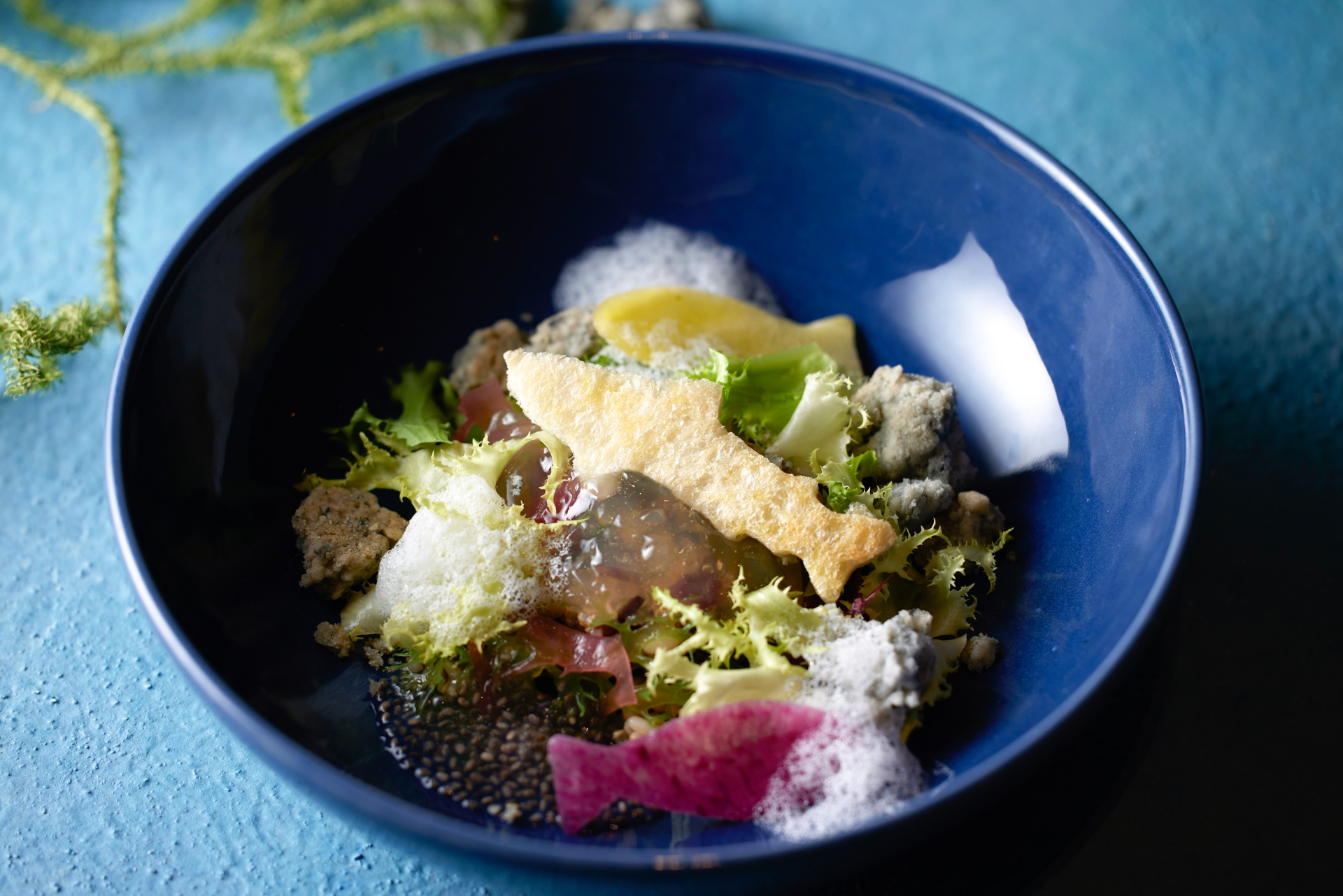 キヌア、海藻のサラダ 小笠原の塩サブレ