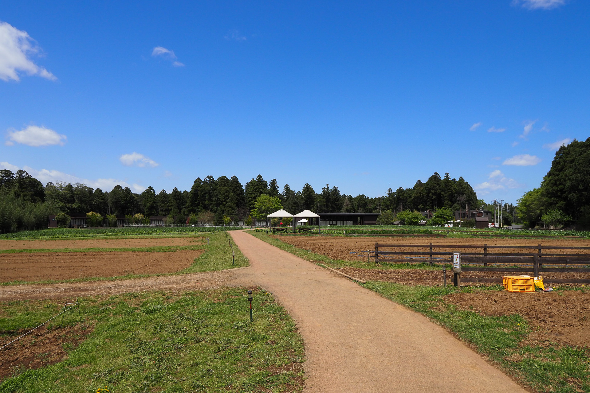 広々とした農園に季節の野菜が実る