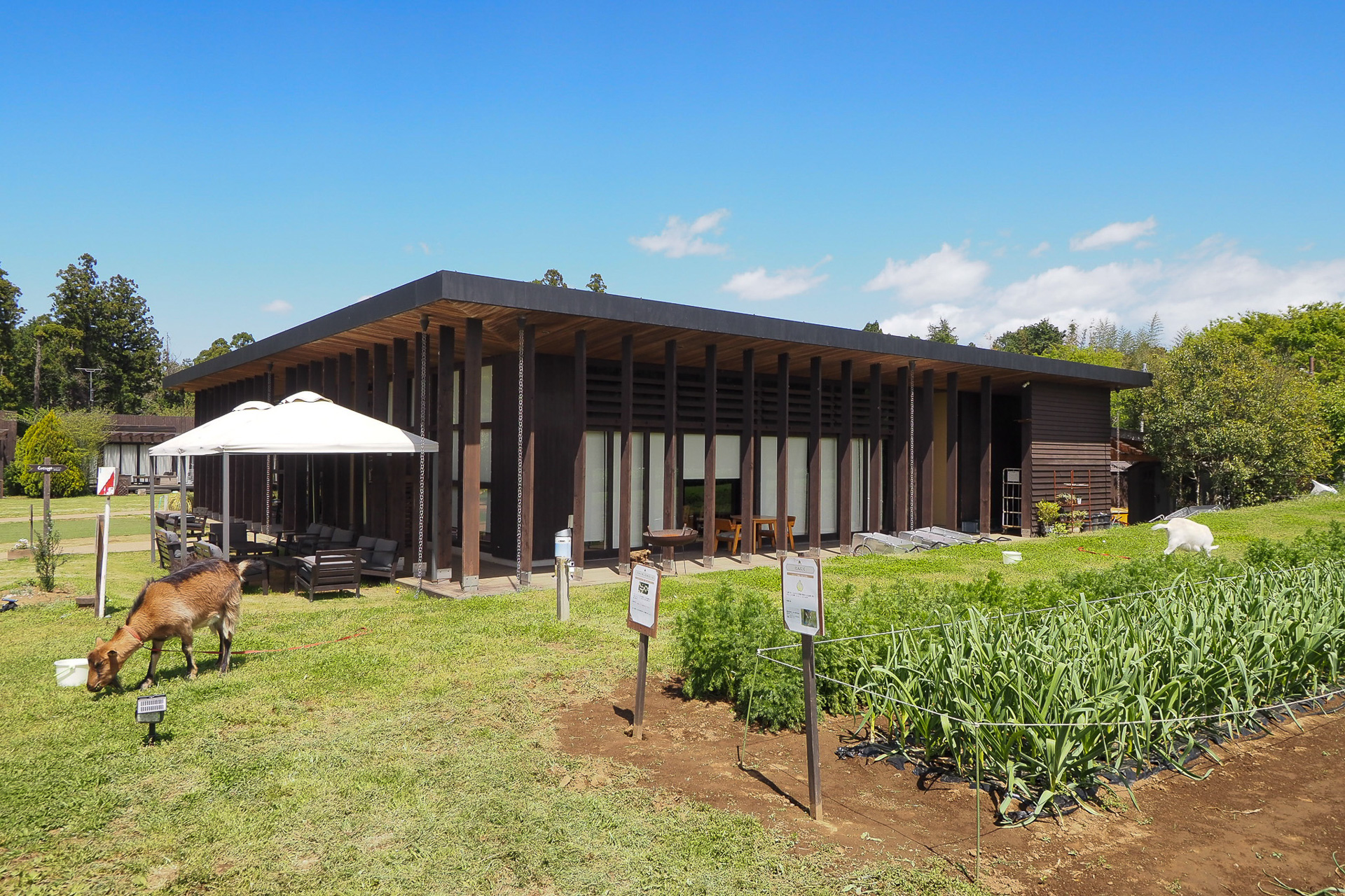 コテージラウンジ前に出張してお出迎えすることも