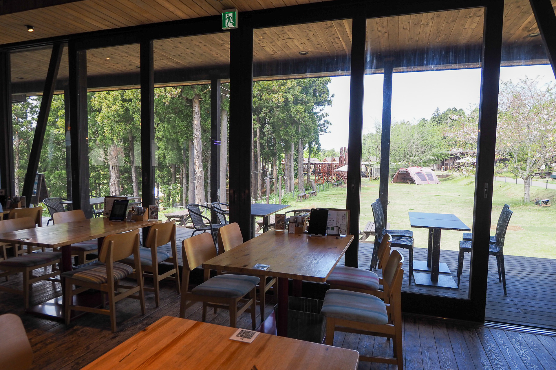 入り口にはかわいい人参たちのディスプレイも