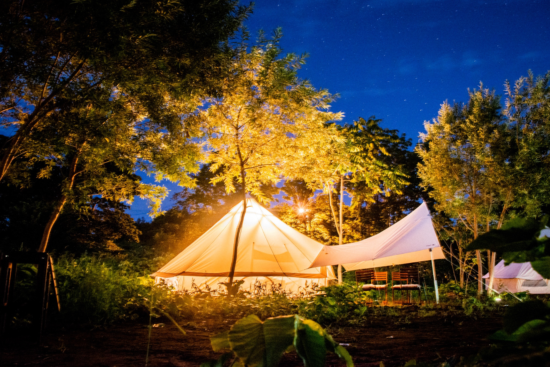 屋内外にテーブルなどを配した「コットンベルテント」。定員4名から2名に対応する全12室がぶどう畑の自然に立つ