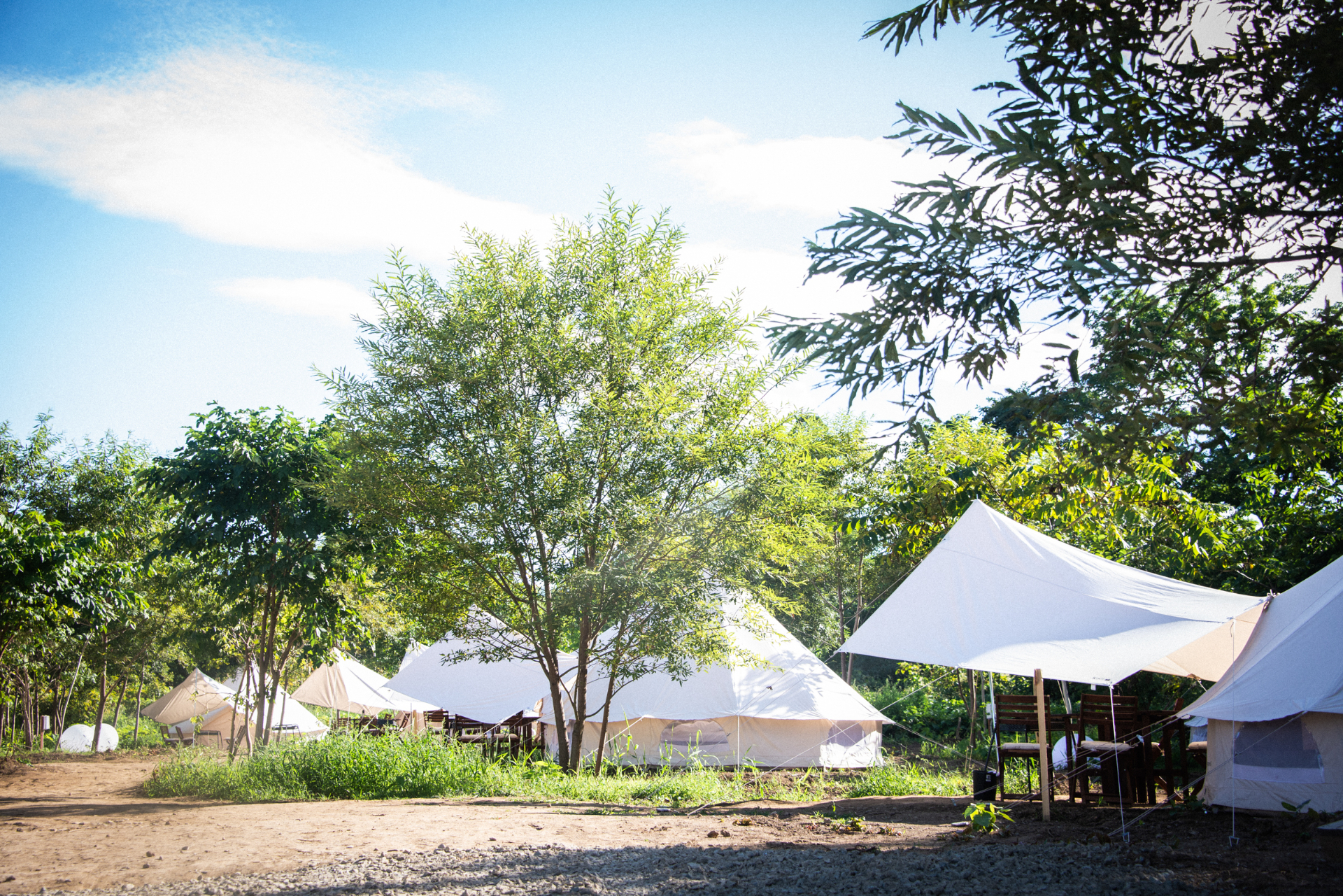 屋内外にテーブルなどを配した「コットンベルテント」。定員4名から2名に対応する全12室がぶどう畑の自然に立つ