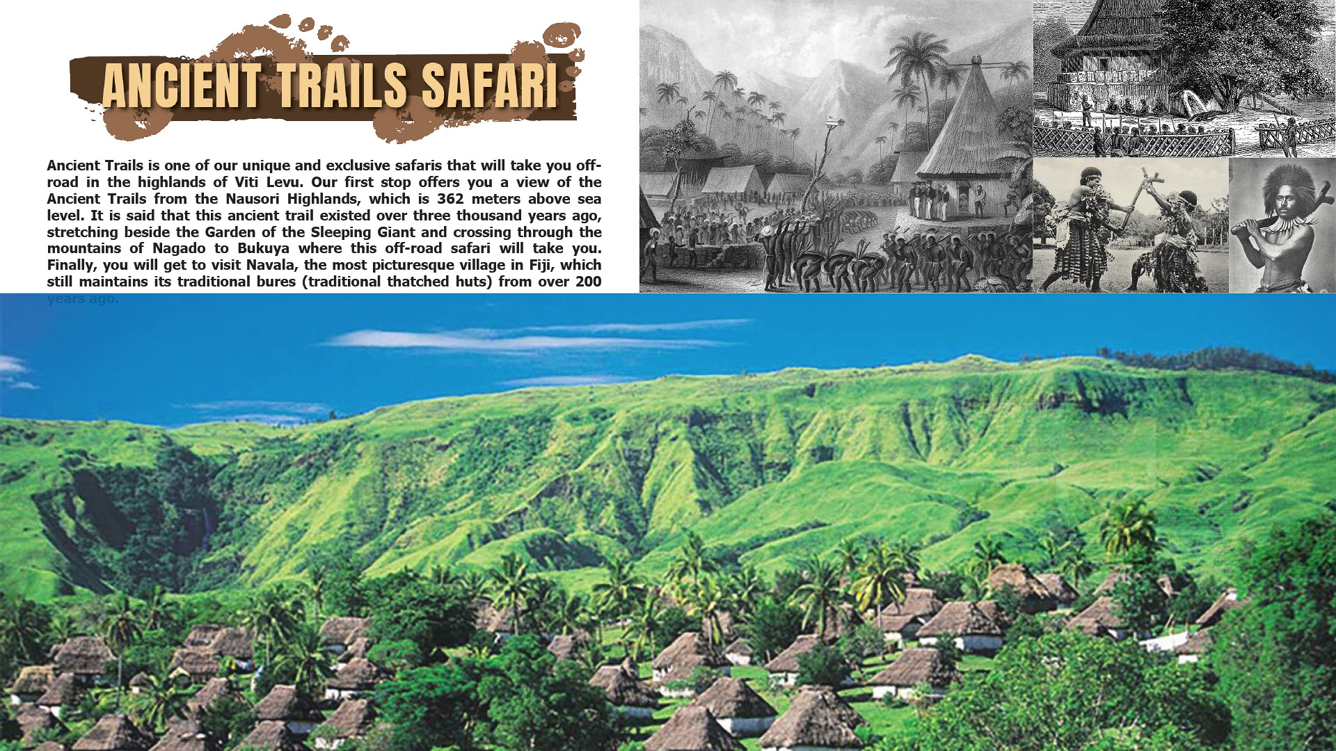 ロージー・フィジー