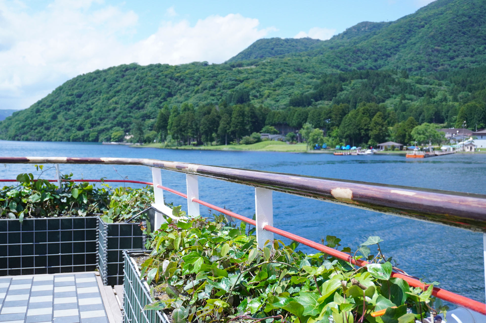 船尾には天然のツタを這わせた緑のカーテンと草花が咲くプランターなど
