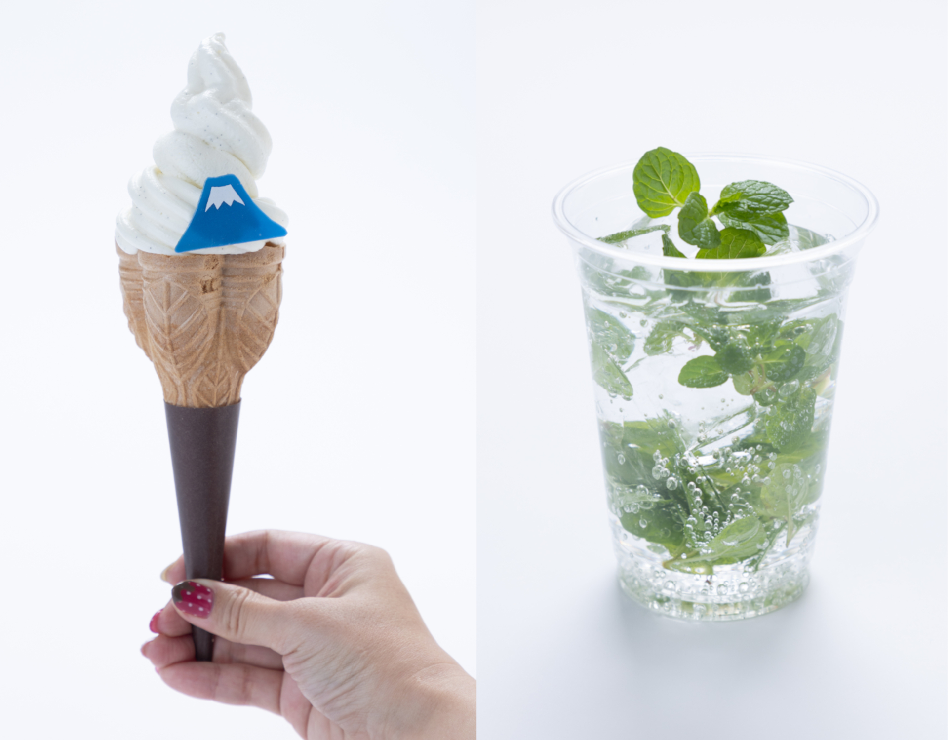 景色を眺めながらゆっくり味わいたいメニューもいろいろ（写真提供：富士急行）