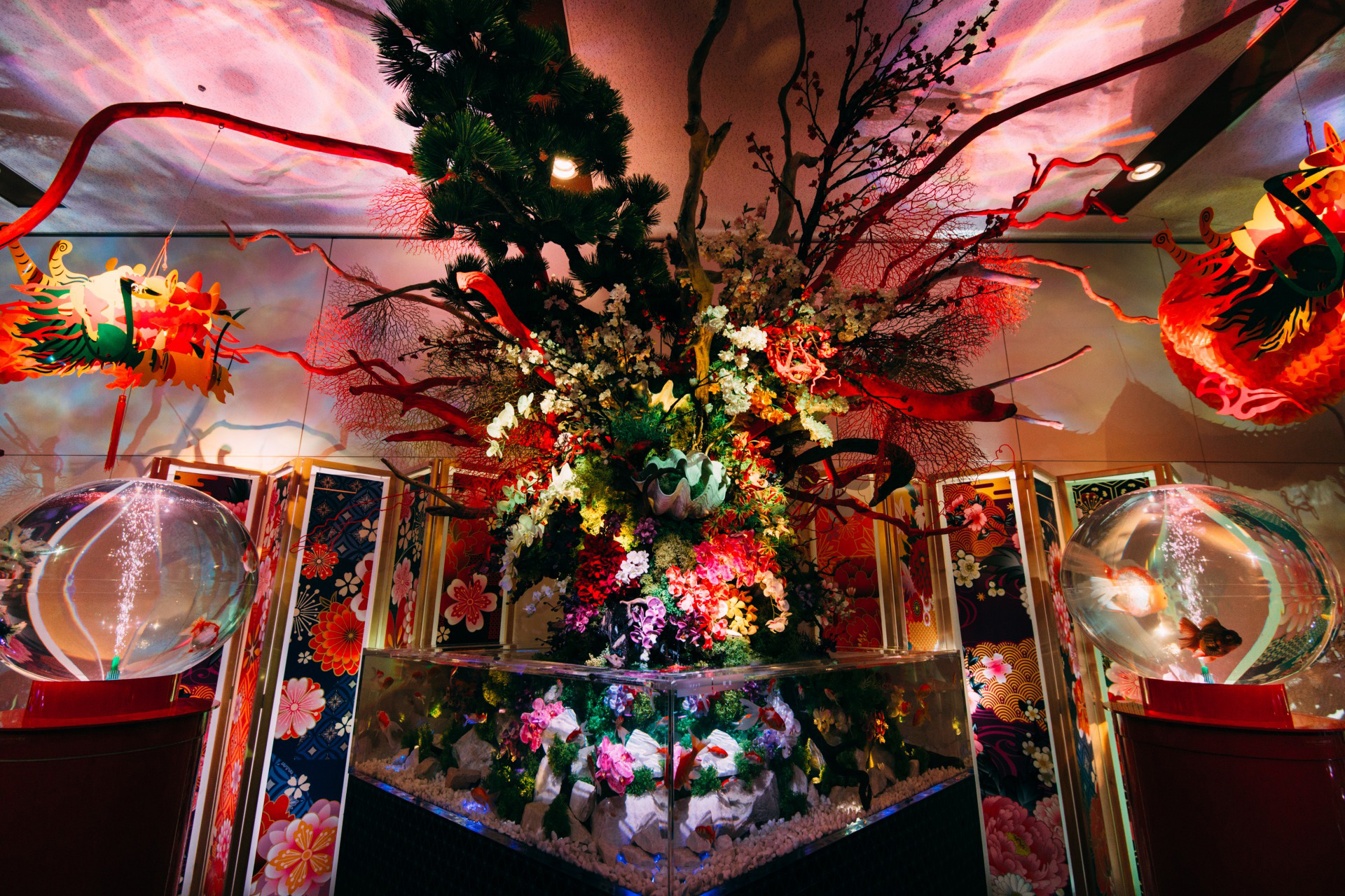 龍と金魚の物語