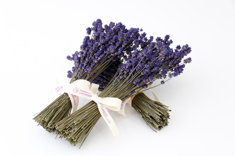 こいむらさきは園内の品種のなかで最も色が濃く、ラベンダーらしい優しい香りでドライフラワーやポプリ、押し花等の加工にも適する