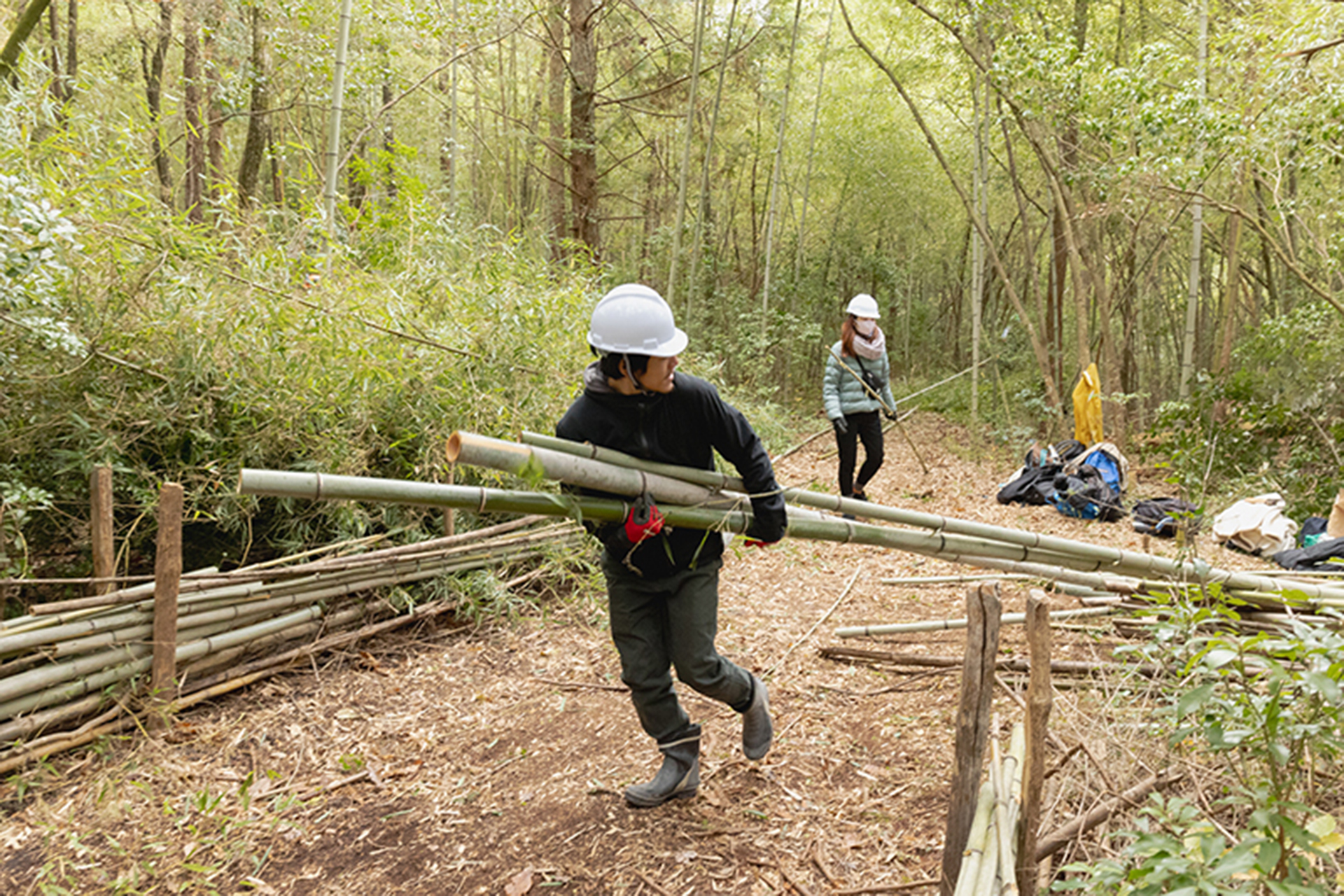 放置竹林の伐採