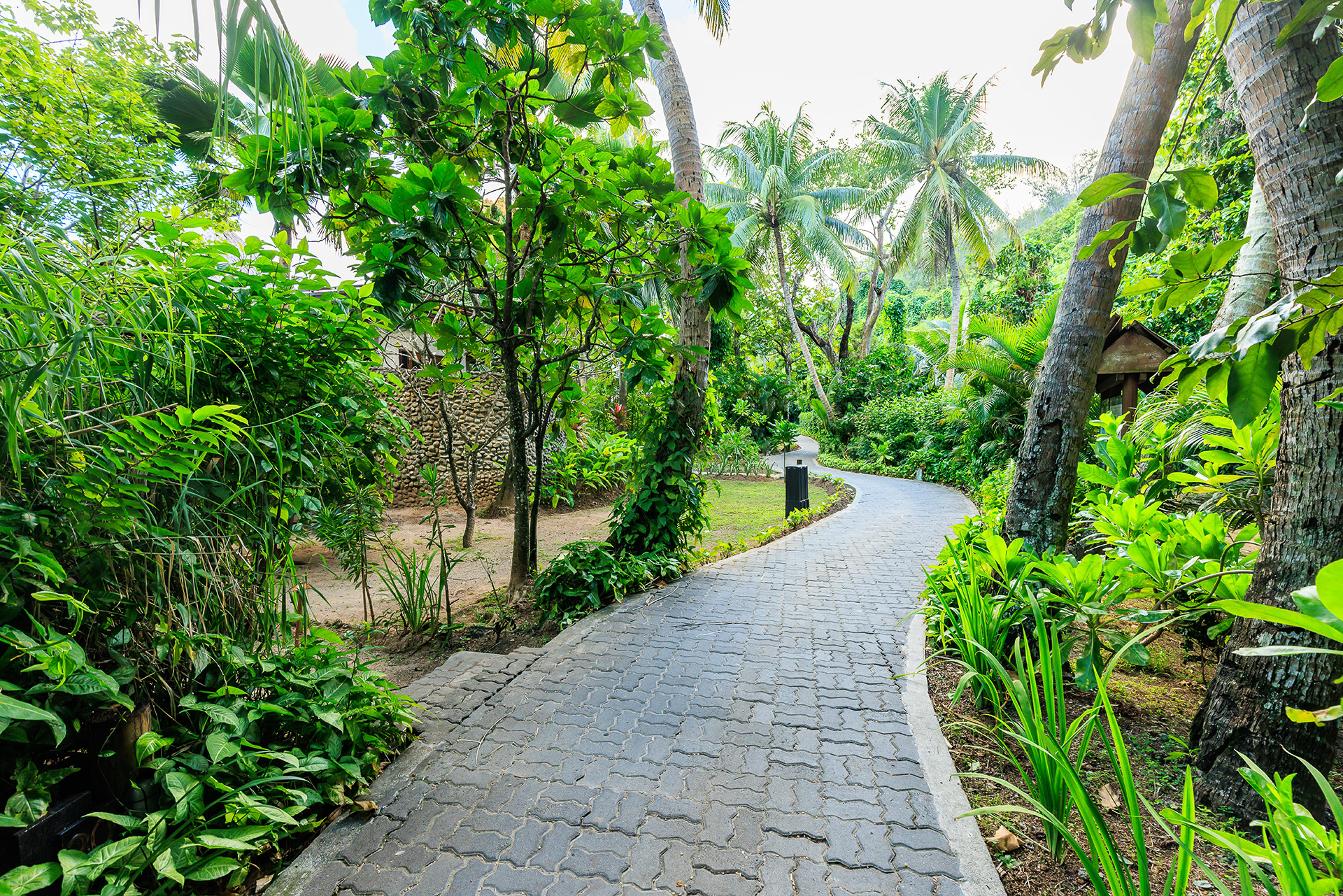 森のなかの小道を歩いてブレへ