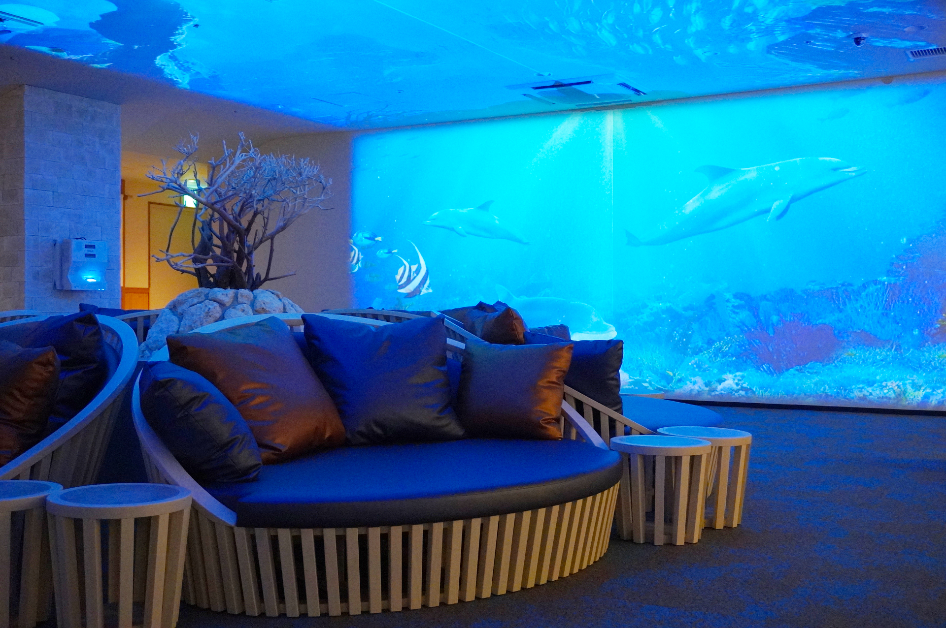 プロジェクター使って天井まて投影した海の世界。大人も子供も楽しめる