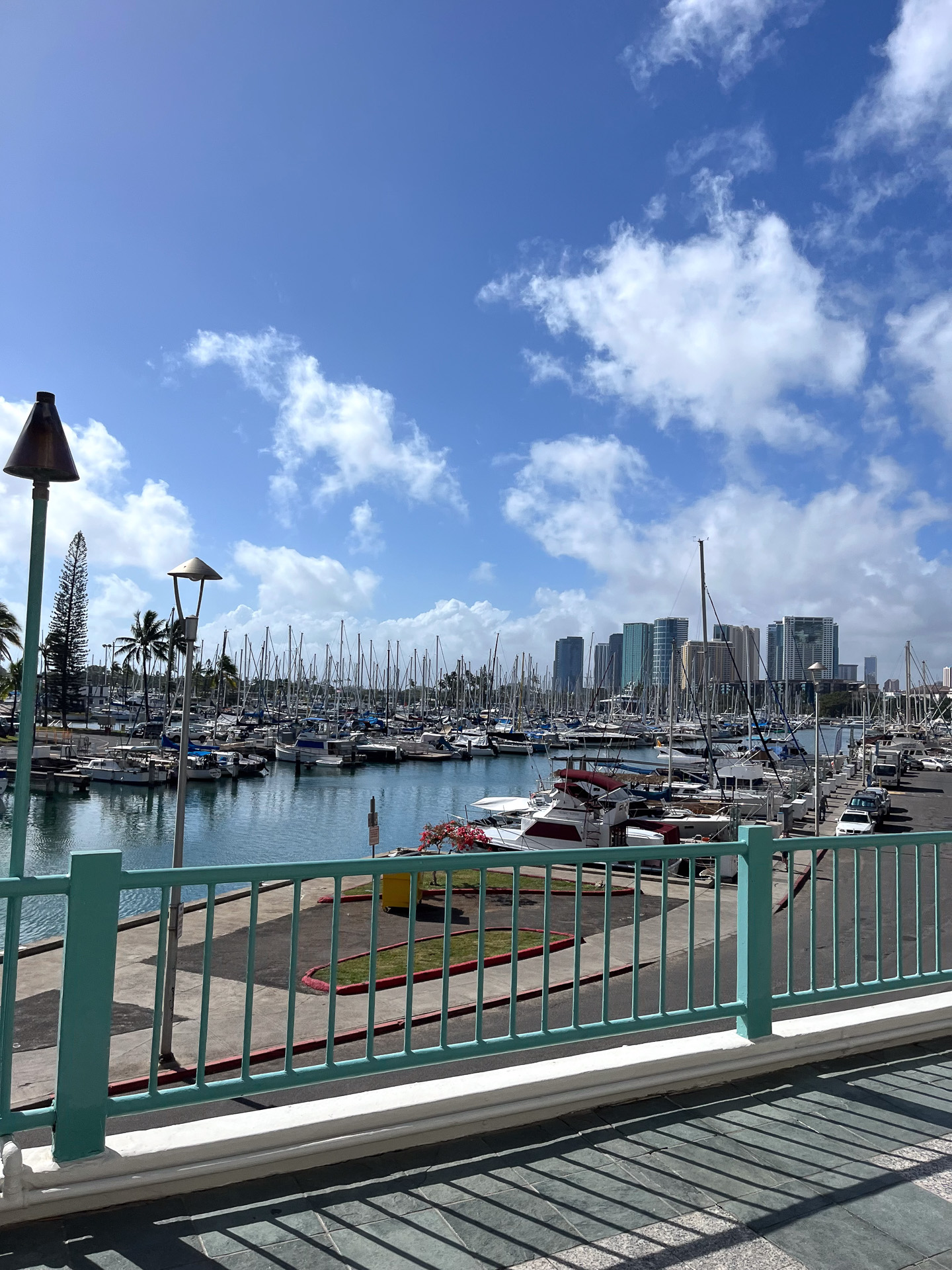 ホテルの目の前にはローカルたちが係留するヨットが並んでいる