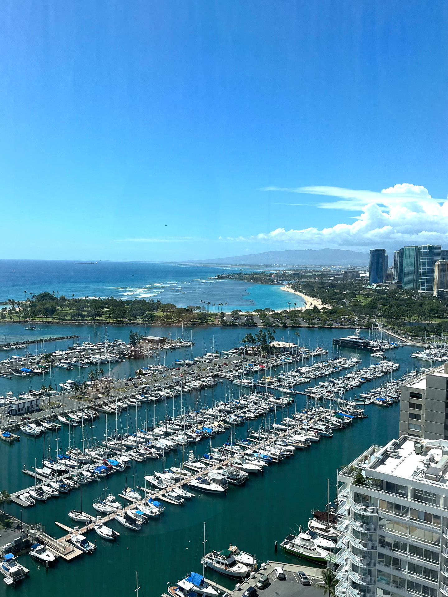 エレベーターからの眺め。高度とともにテンションが上がる