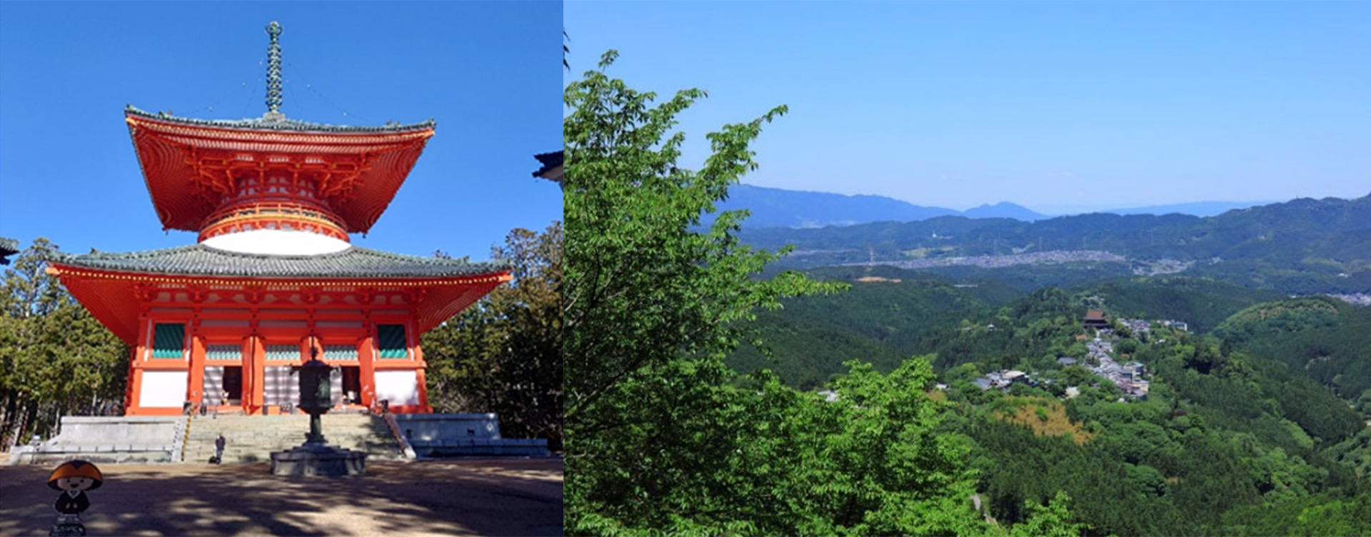 高野山・吉野エリアを巡る記念きっぷ