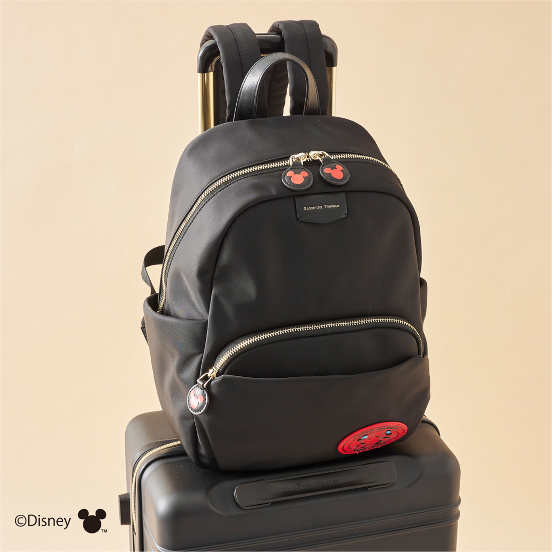 キャリーオンタイプで、移動時に便利