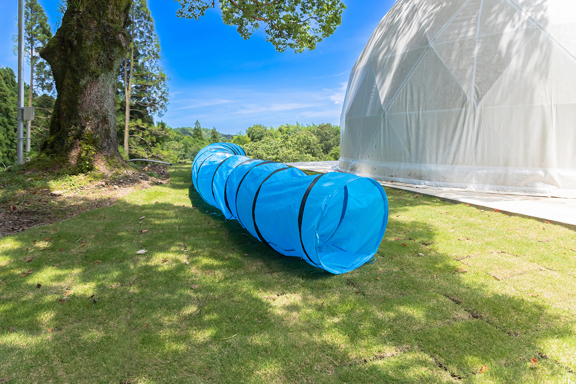 愛犬が遊べるスペース