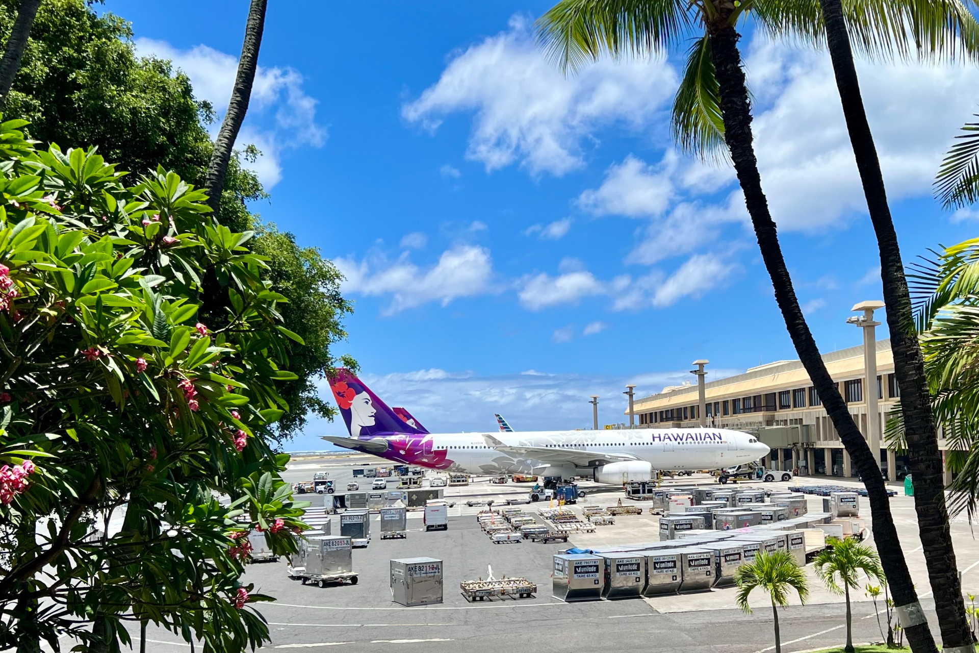 ハワイアン航空の夜便に乗って、朝イチにホノルル空港へ到着