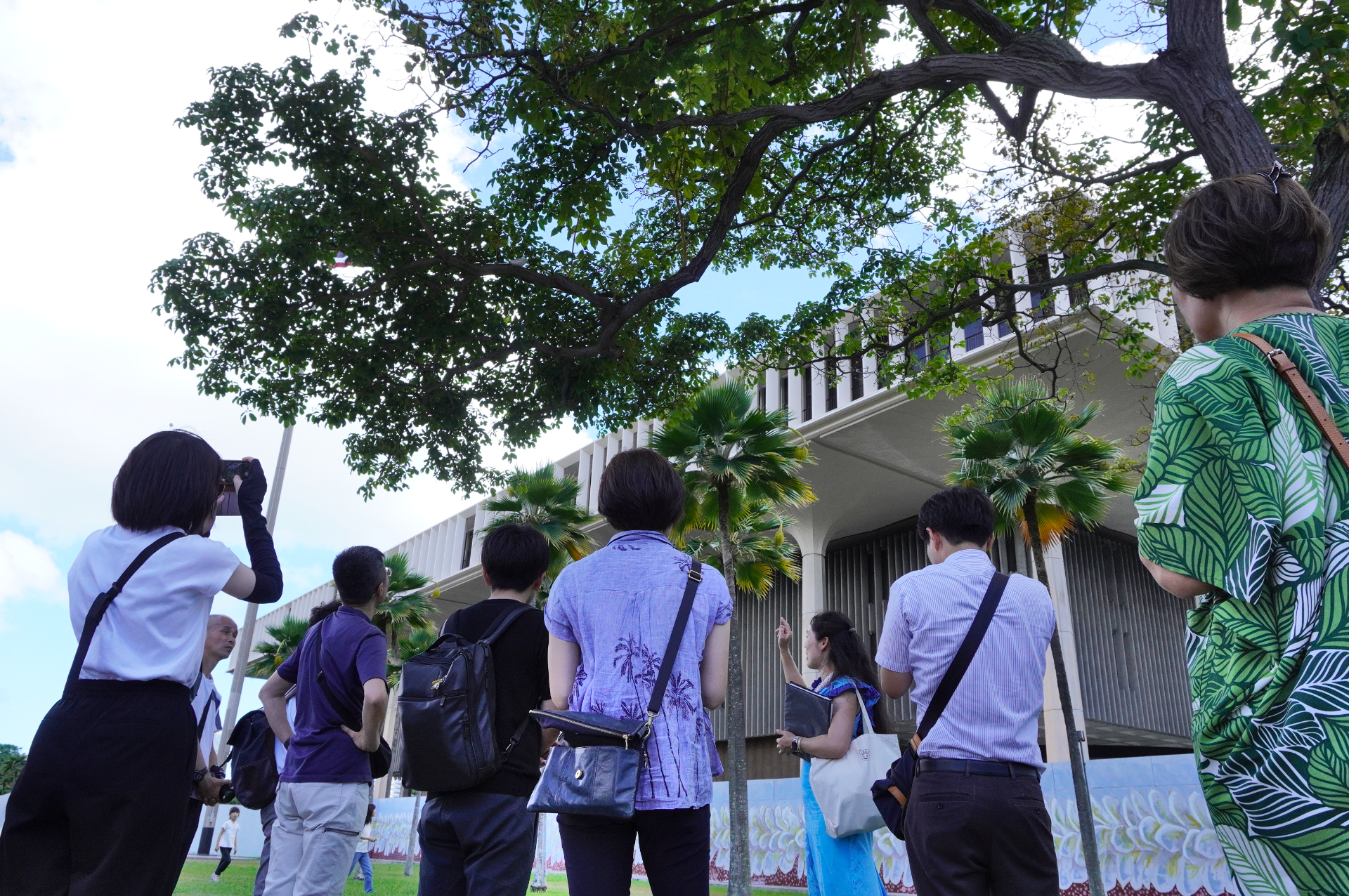 勉強熱心な教師たち。ハワイ州庁舎近くの木で何を発見したかというと‥‥‥