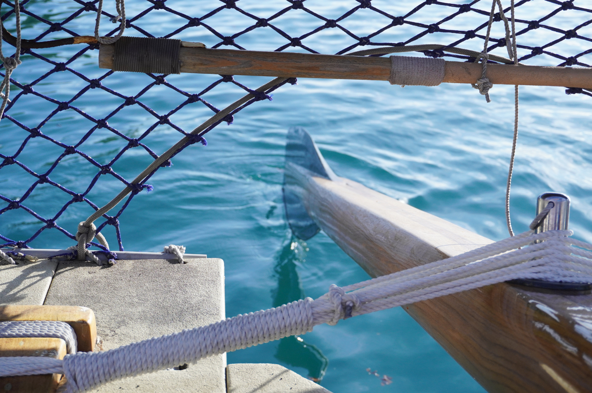 ホクレア号に乗船して、クルーたちから説明を受ける教師たち。大海原を渡るのにも負けない重くて大きなパドルを漕がせてもらった。これを人力で動かしているとは……