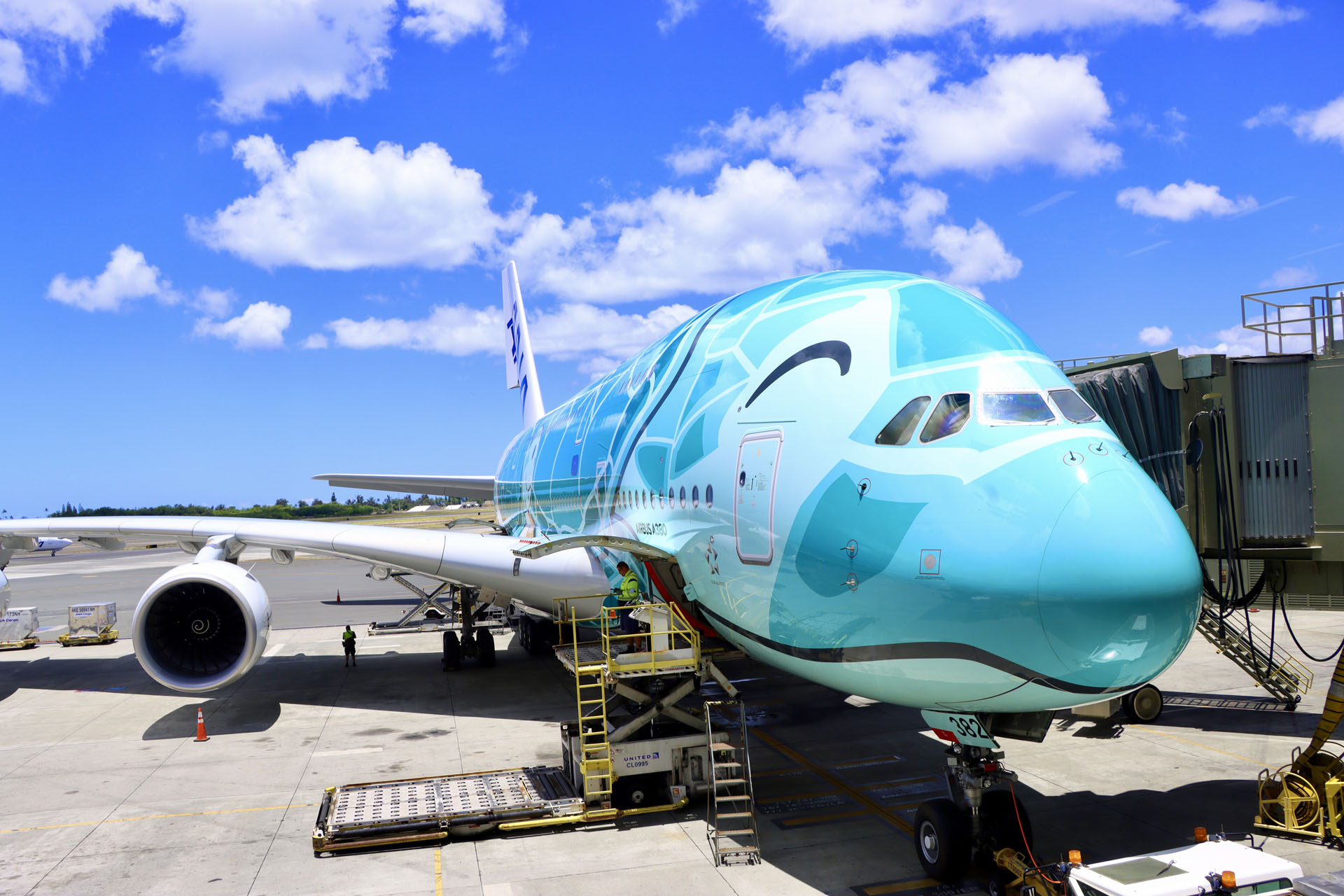 「FLYING HONU」の2号機「カイ」