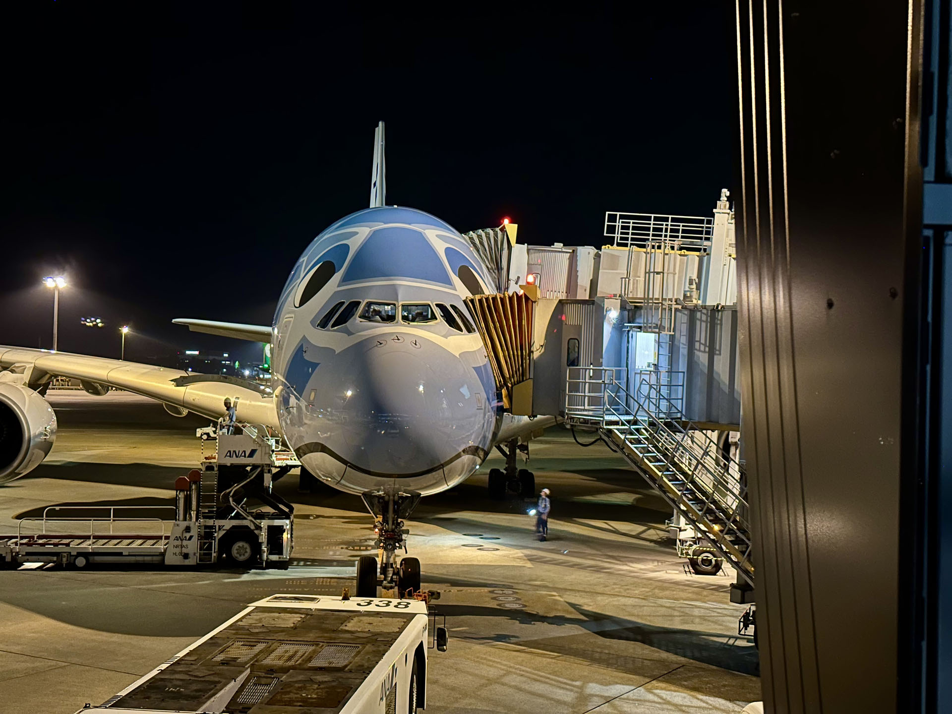 行きの便で搭乗した「FLYING HONU」1号機「ラニ」