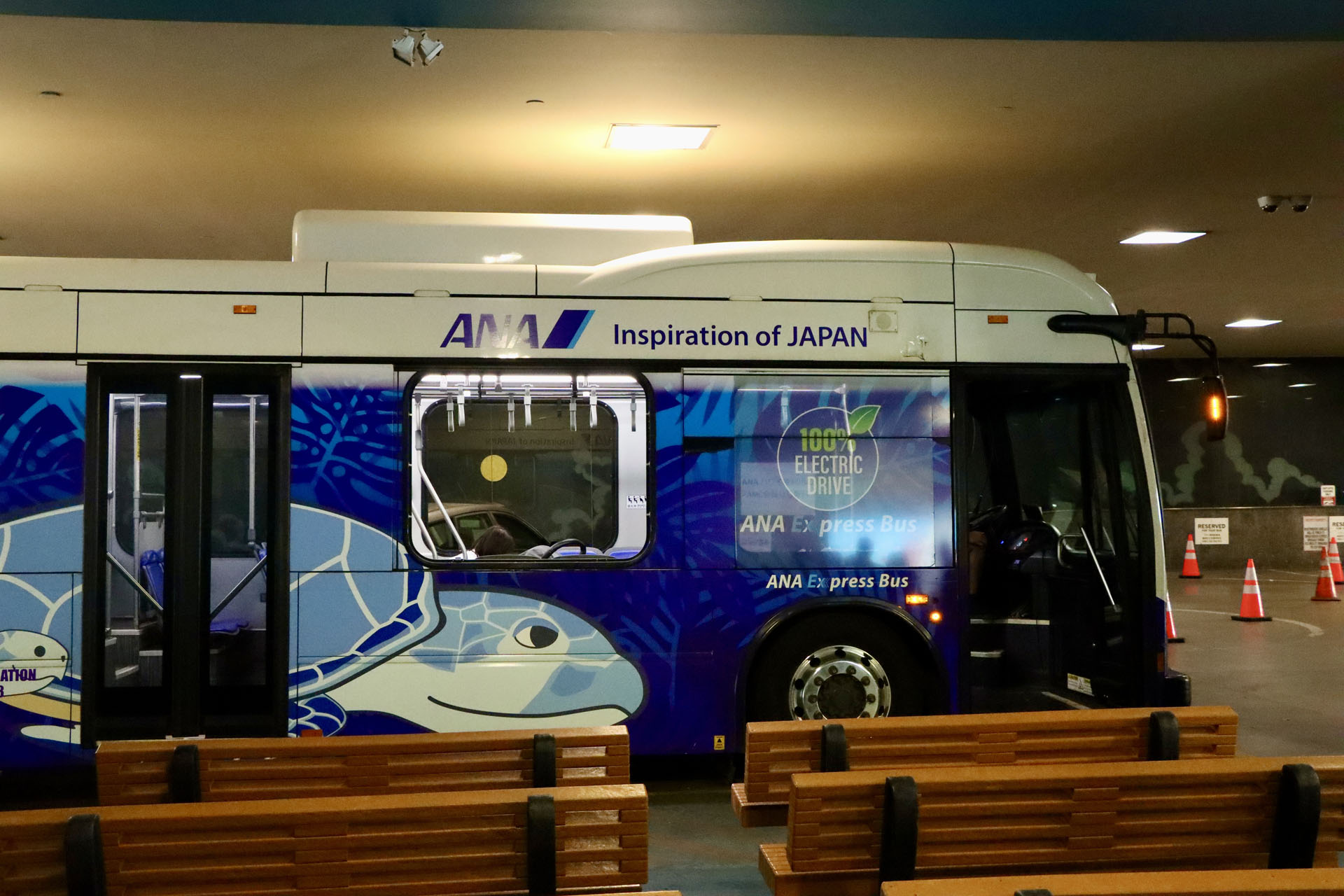 FLYING HONUと同じデザインのブルーのバス