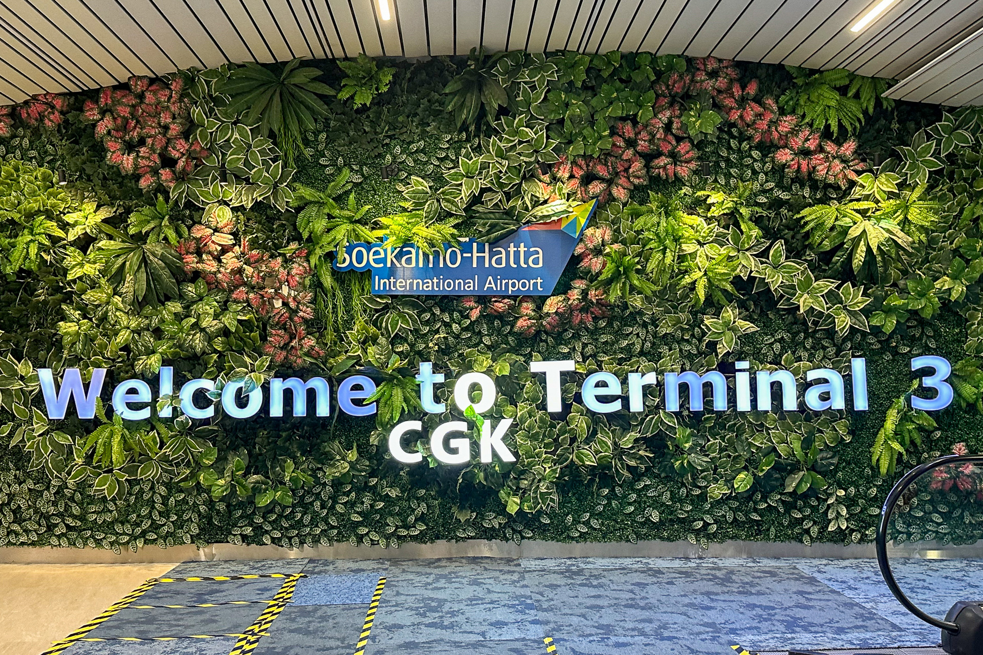 ところどころに癒やしのフォトスポット（？）