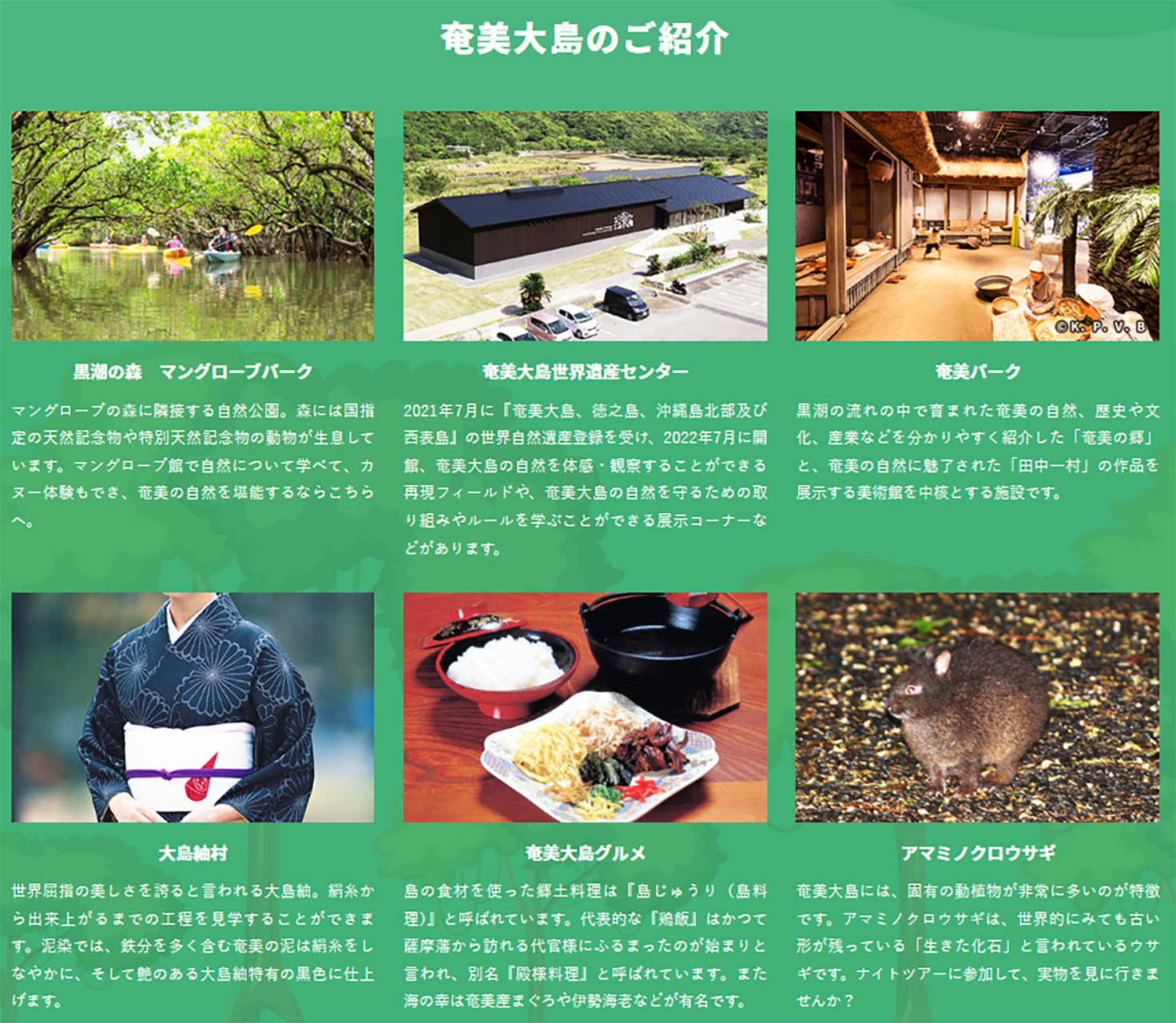 奄美大島の紹介