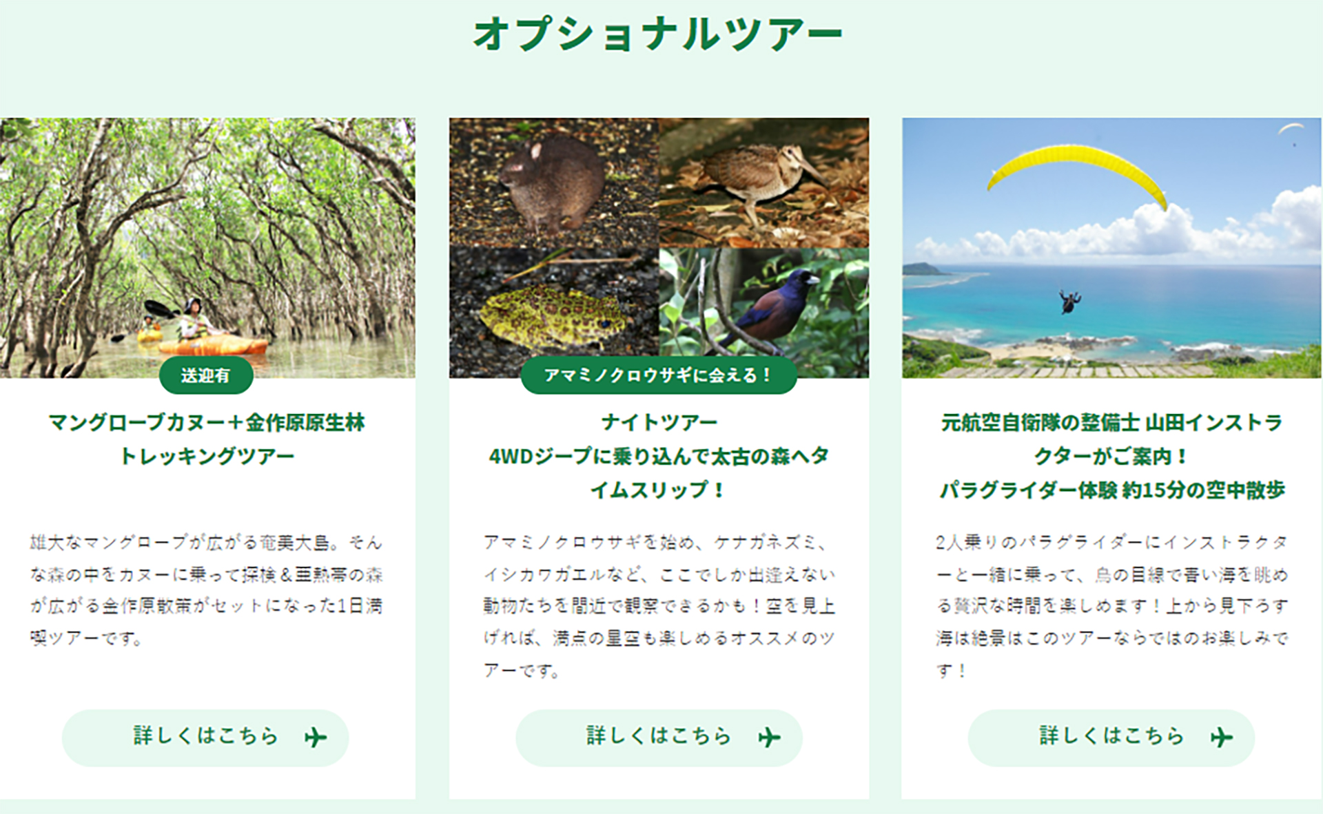 オプショナルツアー