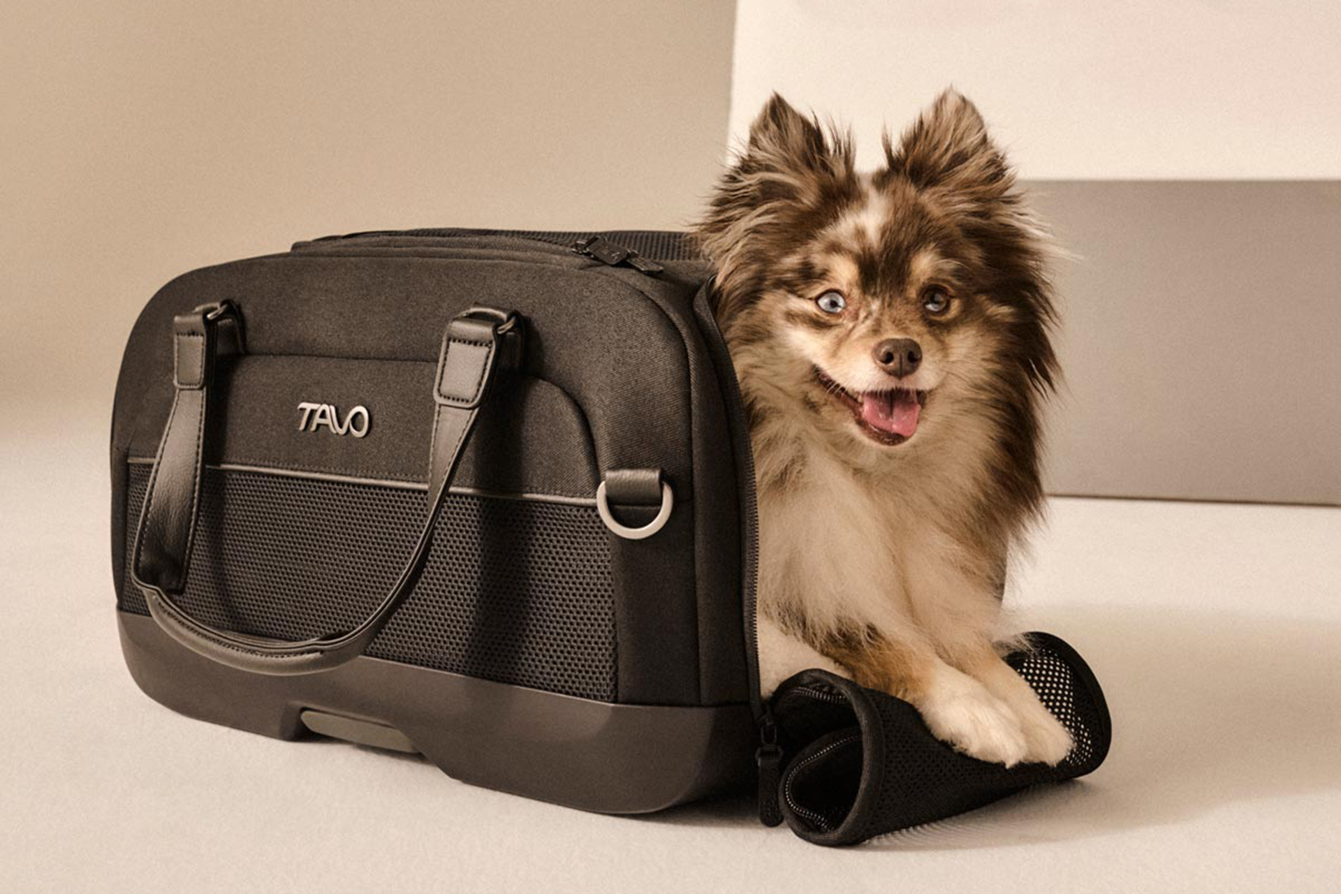 航空機内持込可のペットキャリア兼ペットカーシート「Dupree」