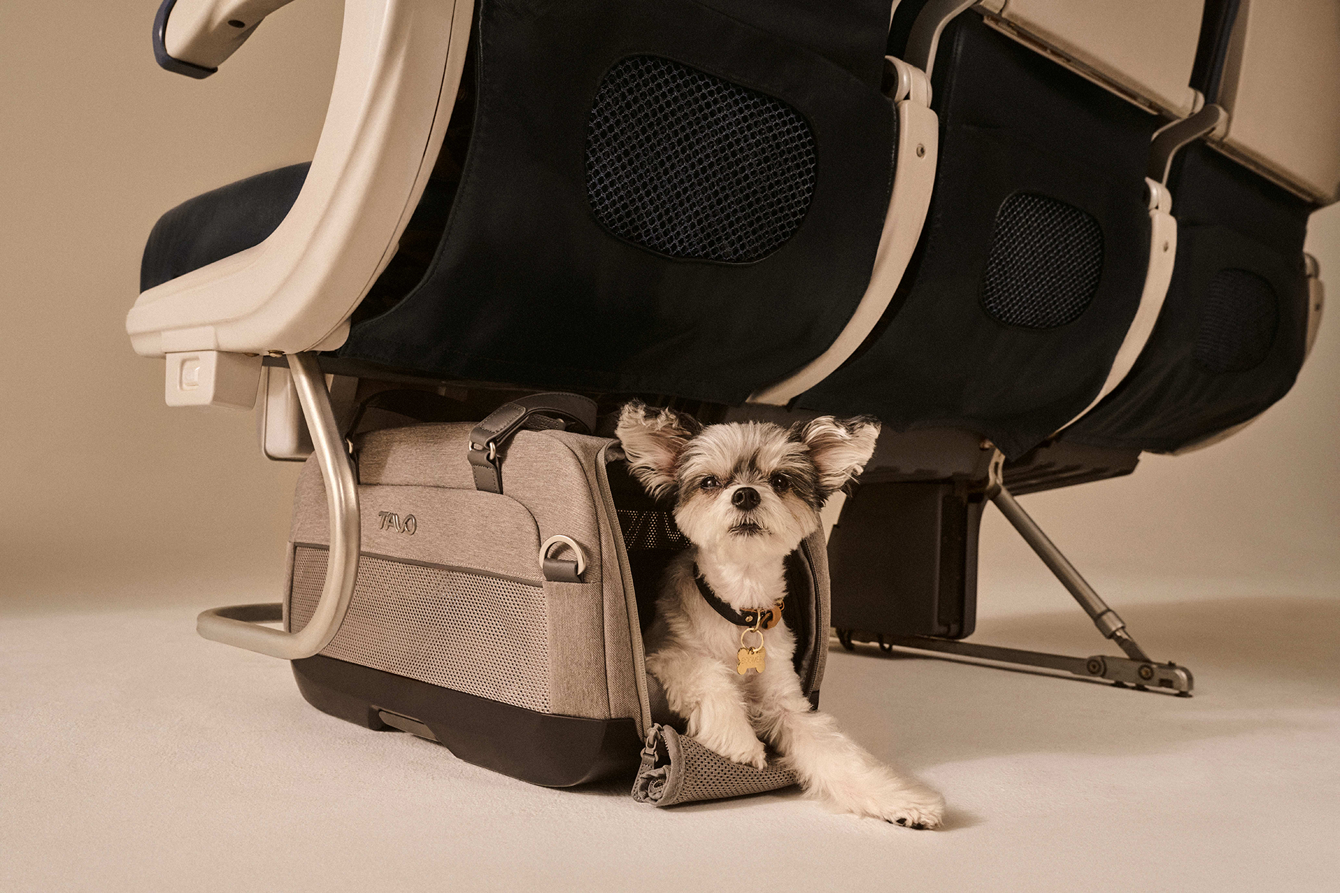 航空機内持込可能