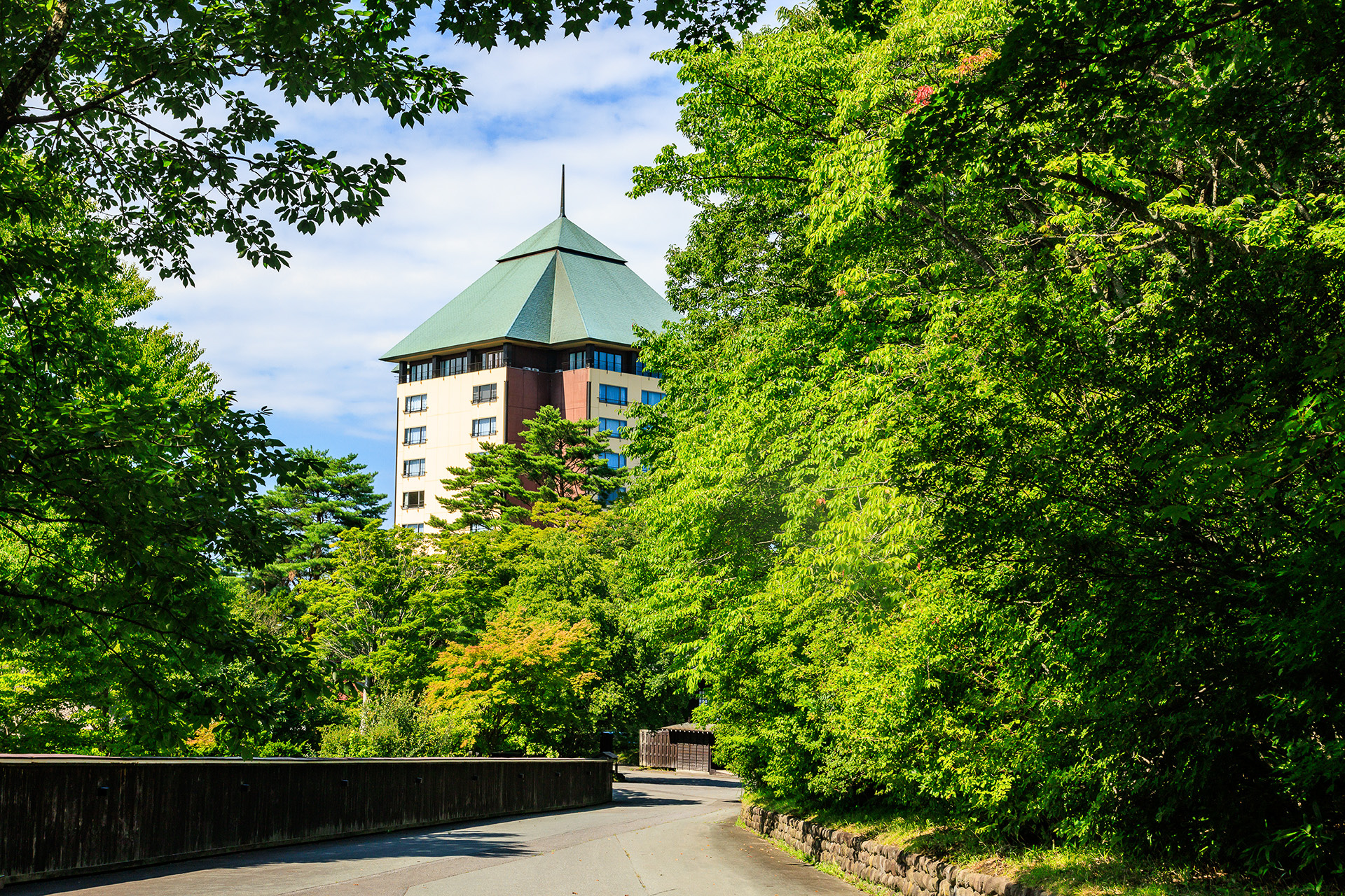 高い建物は西館。これは公園脇の歩道からの眺め