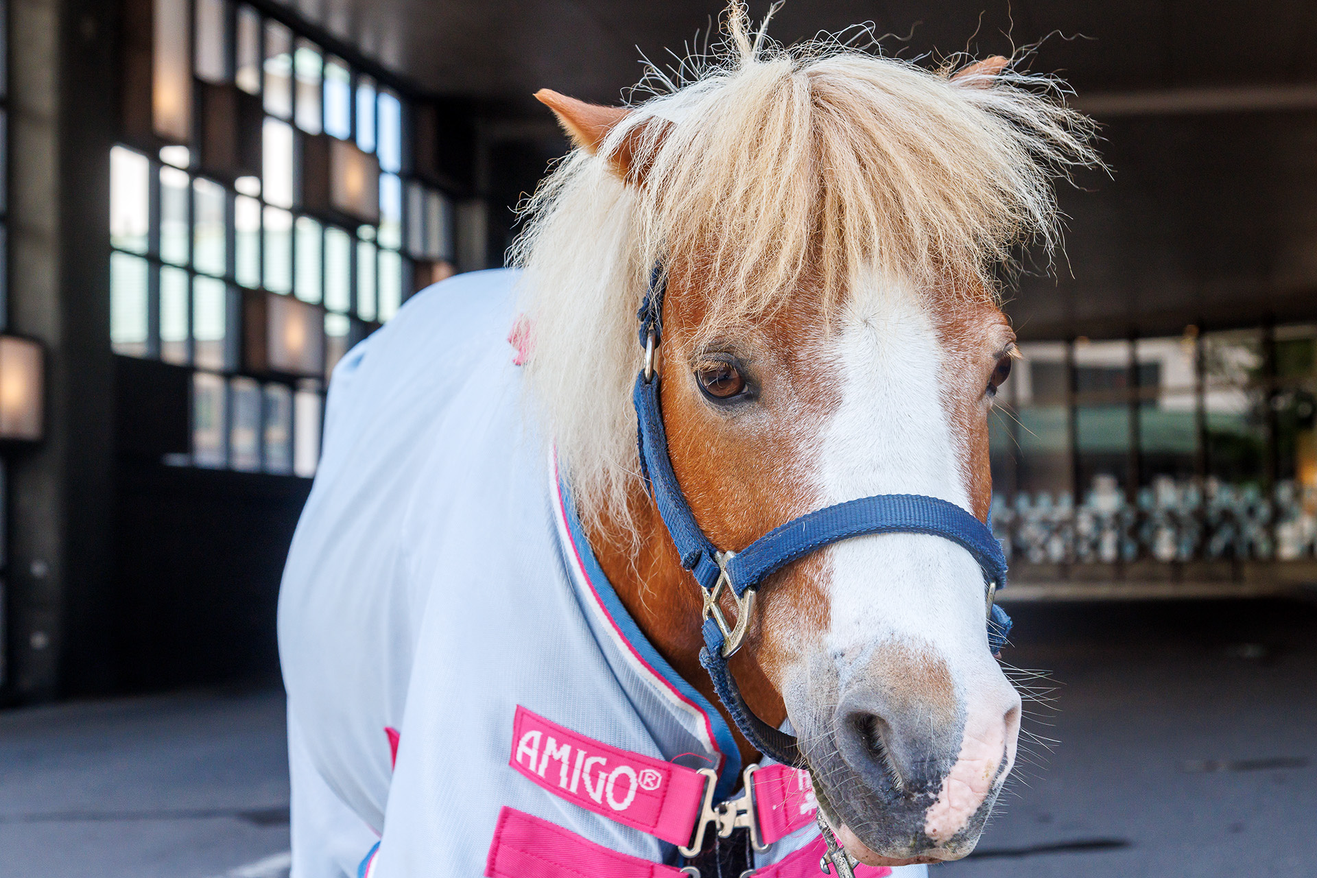 この日は「それ」号が担当