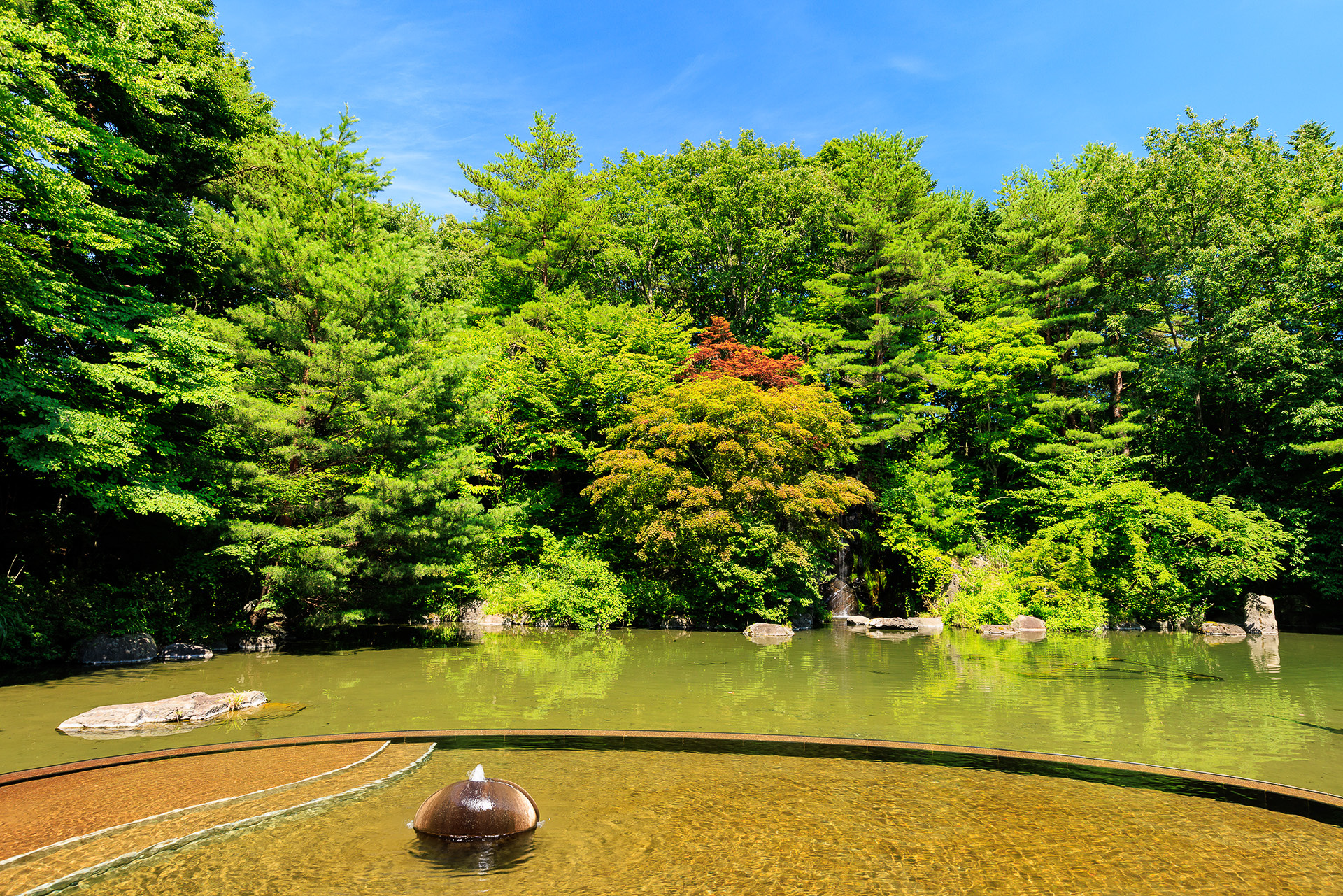 水の上に浮かんでいるような感覚が味わえる。奥の池は本当にタダの池なので入ることはできないが、海外からの観光客のなかには入ってしまう人がいるとか