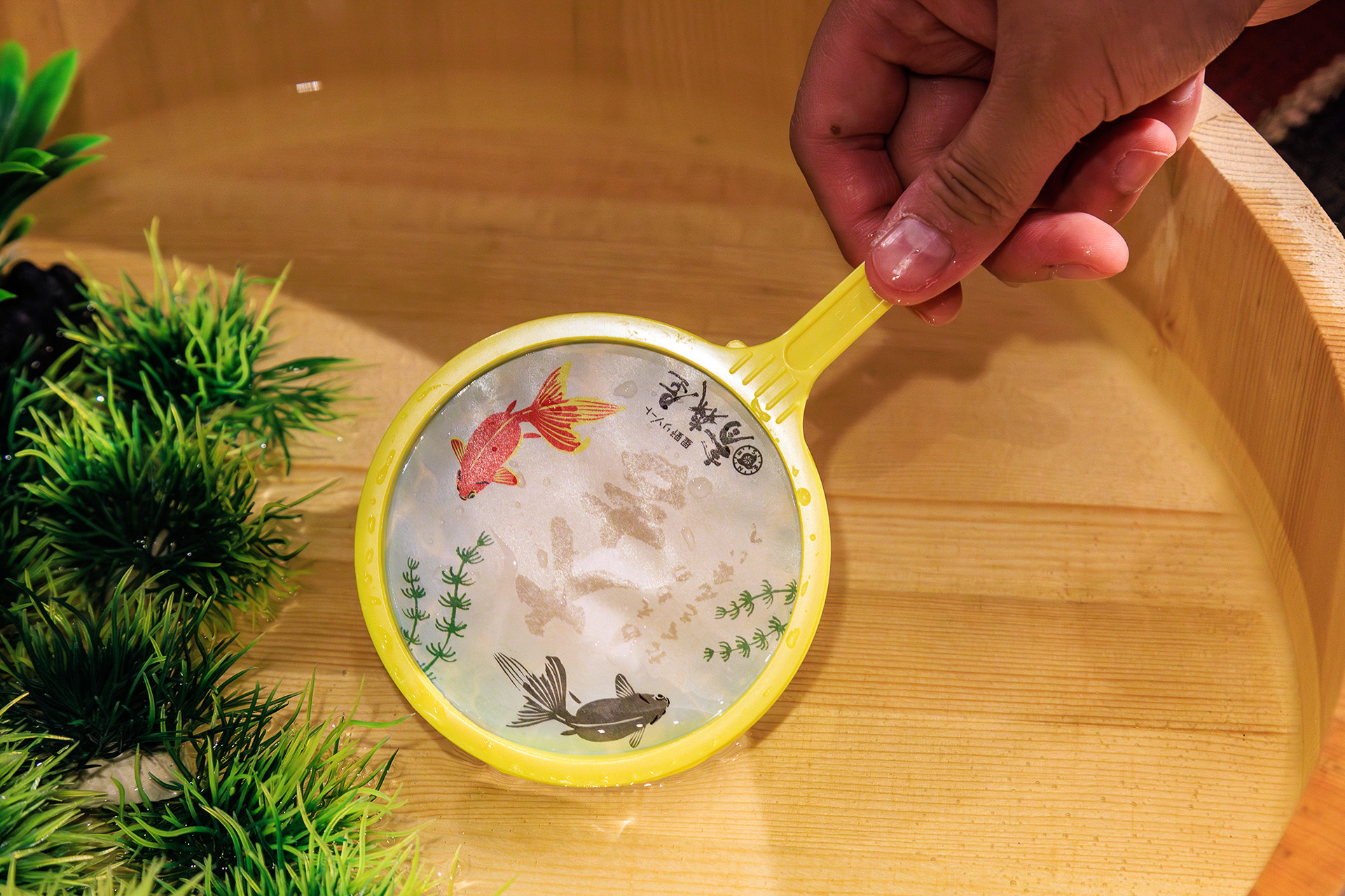 金魚すくいで使う「ポイ」の形をしたおみくじも。こちらの提供時間は15時から20時まで。料金は1本550円